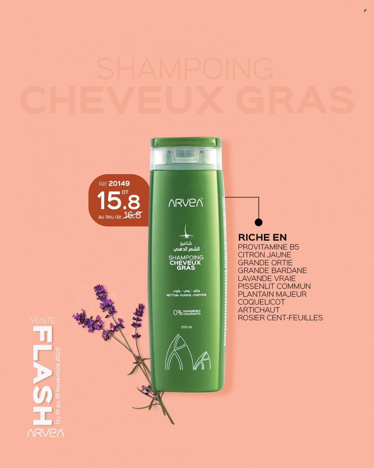Catalogue ARVEA - 13/11/2022 - 18/11/2022. Page 10