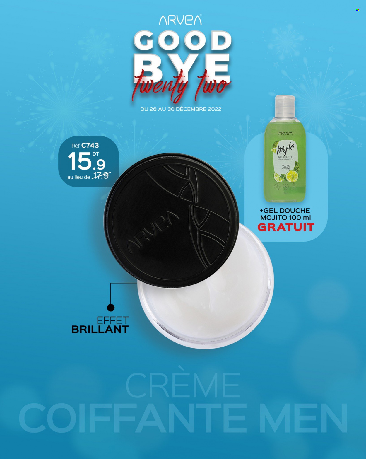 Catalogue ARVEA - 26/12/2022 - 30/12/2022. Page 3