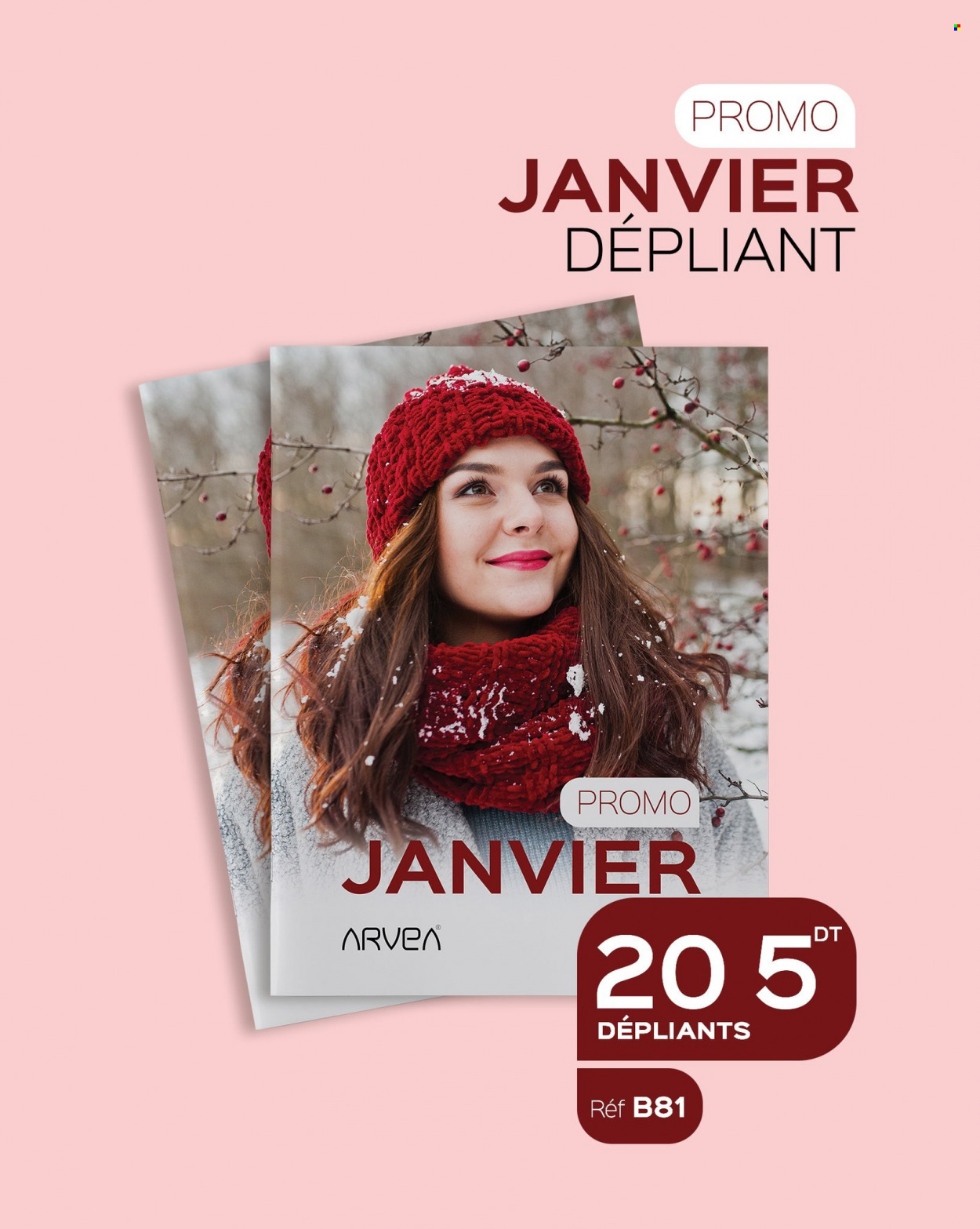 Catalogue ARVEA - 08/01/2023 - 22/01/2023. Page 20