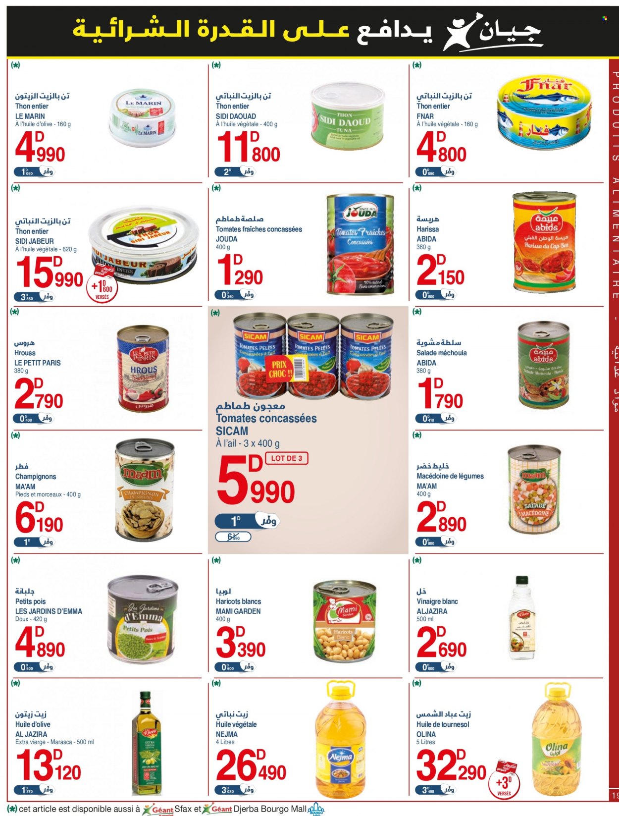 Catalogue Géant - 17/01/2023 - 29/01/2023. Page 19