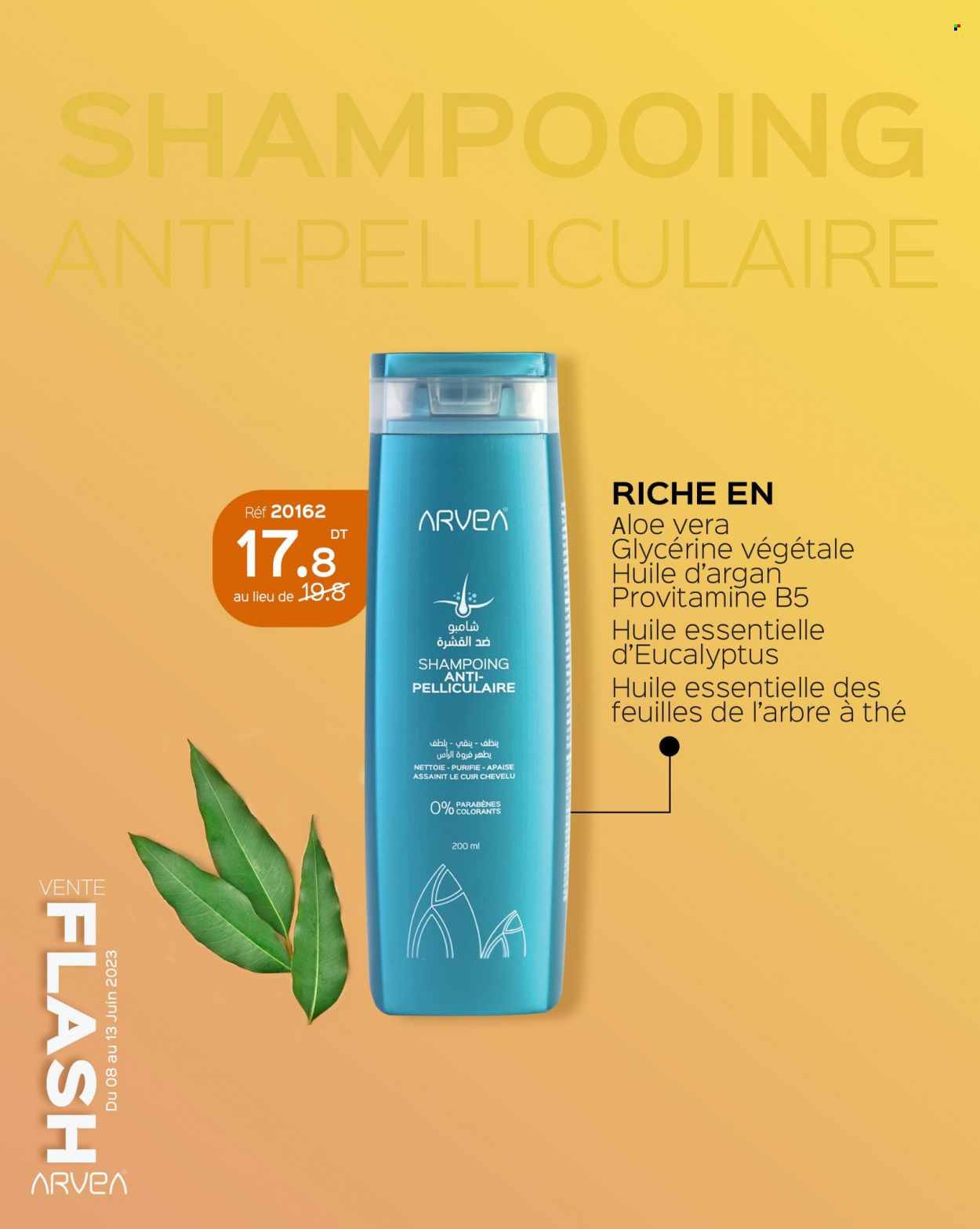 Catalogue ARVEA - 08/06/2023 - 13/06/2023. Page 12