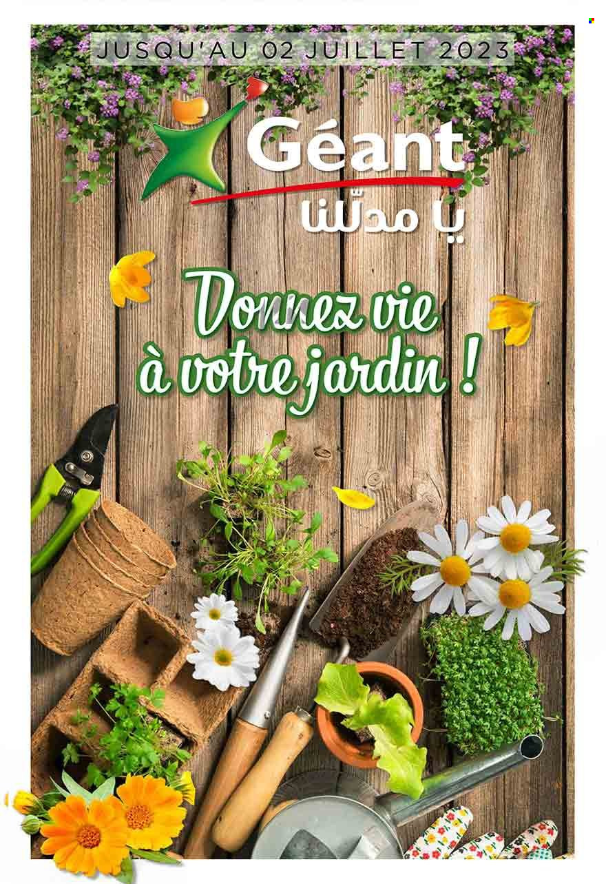 Catalogue Géant - 13/06/2023 - 02/07/2023. Page 1