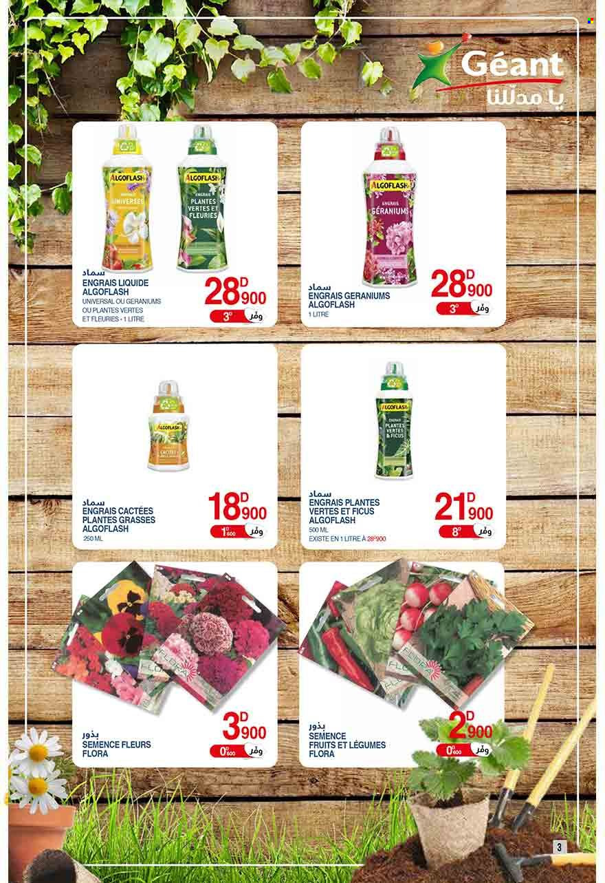 Catalogue Géant - 13/06/2023 - 02/07/2023. Page 3