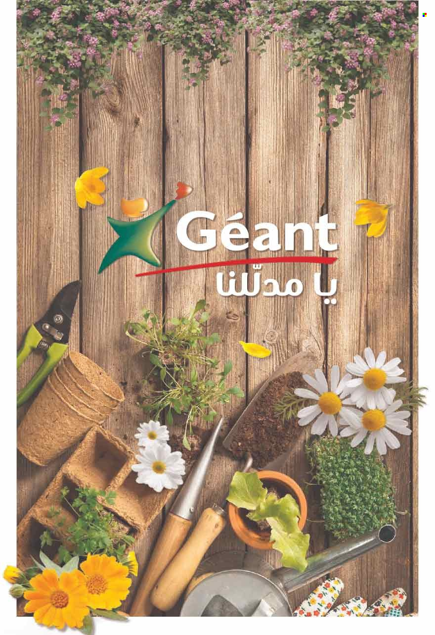 Catalogue Géant - 13/06/2023 - 02/07/2023. Page 7