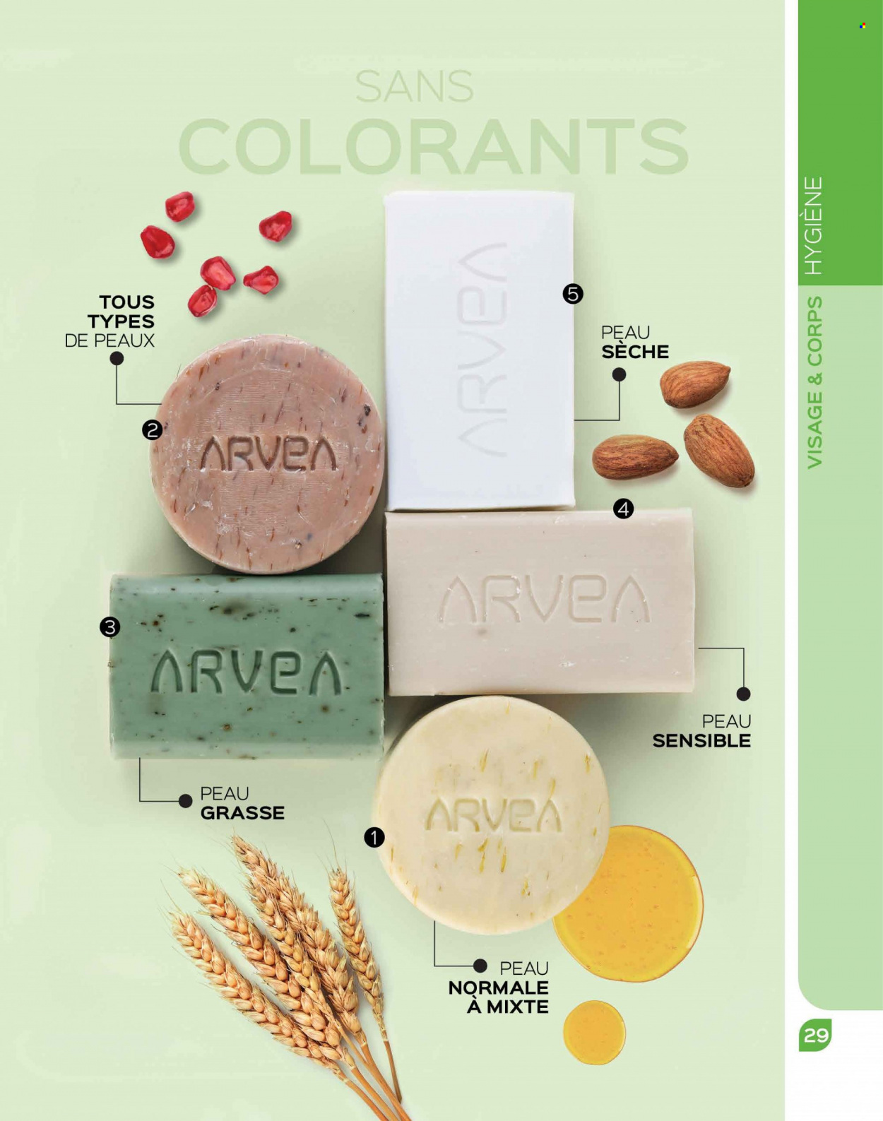 Catalogue ARVEA - 01/10/2023 - 31/10/2023. Page 31