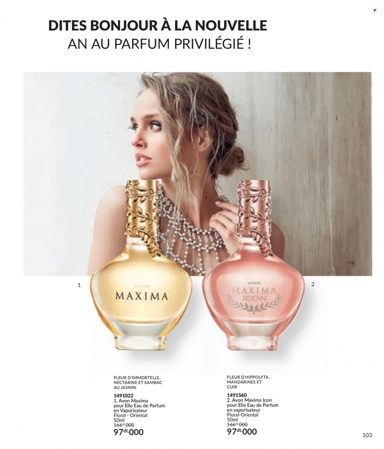 Catalogue Avon - 01/12/2023 - 31/12/2023. Page 103