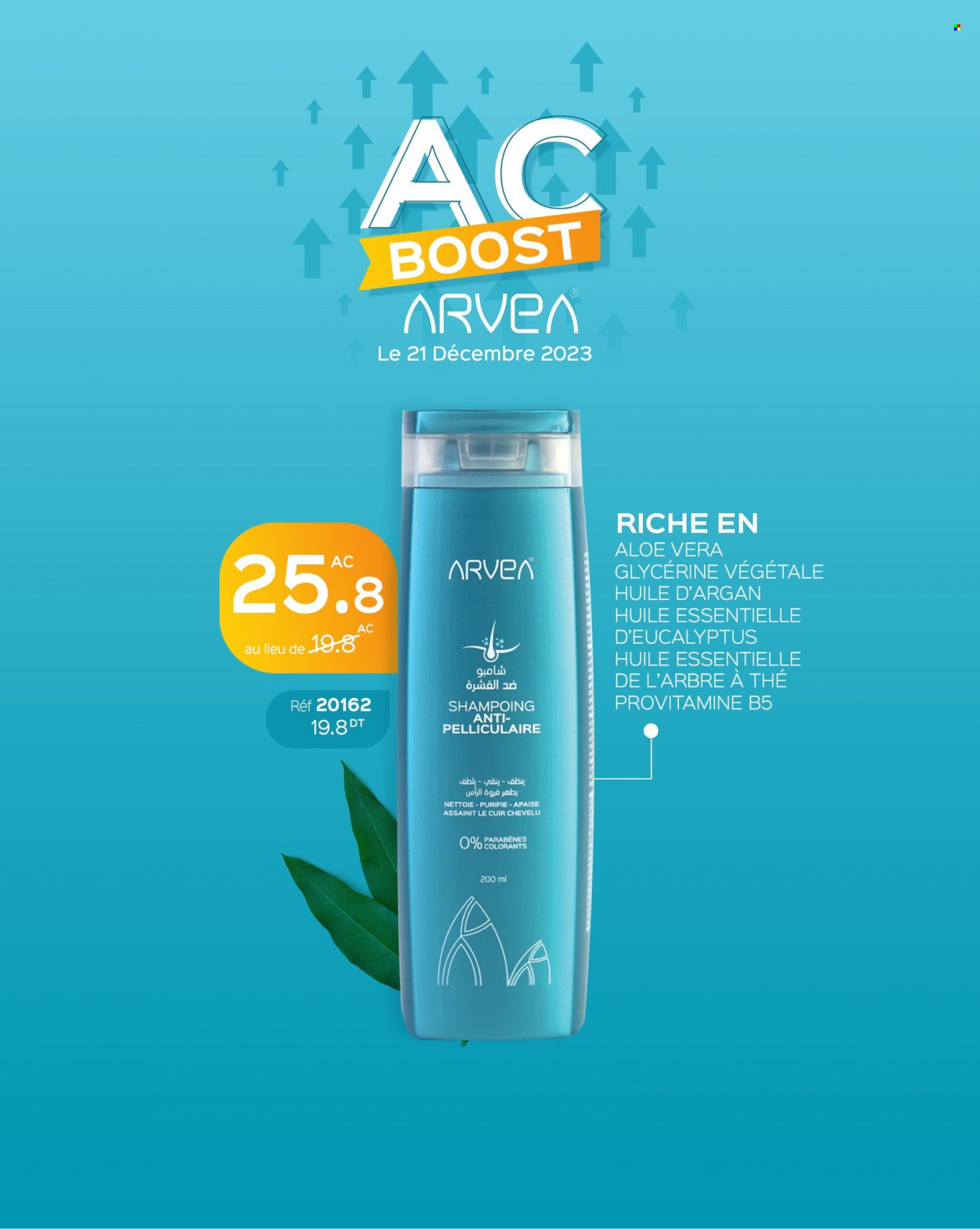 Catalogue ARVEA - 21/12/2023 - 21/12/2023. Page 6