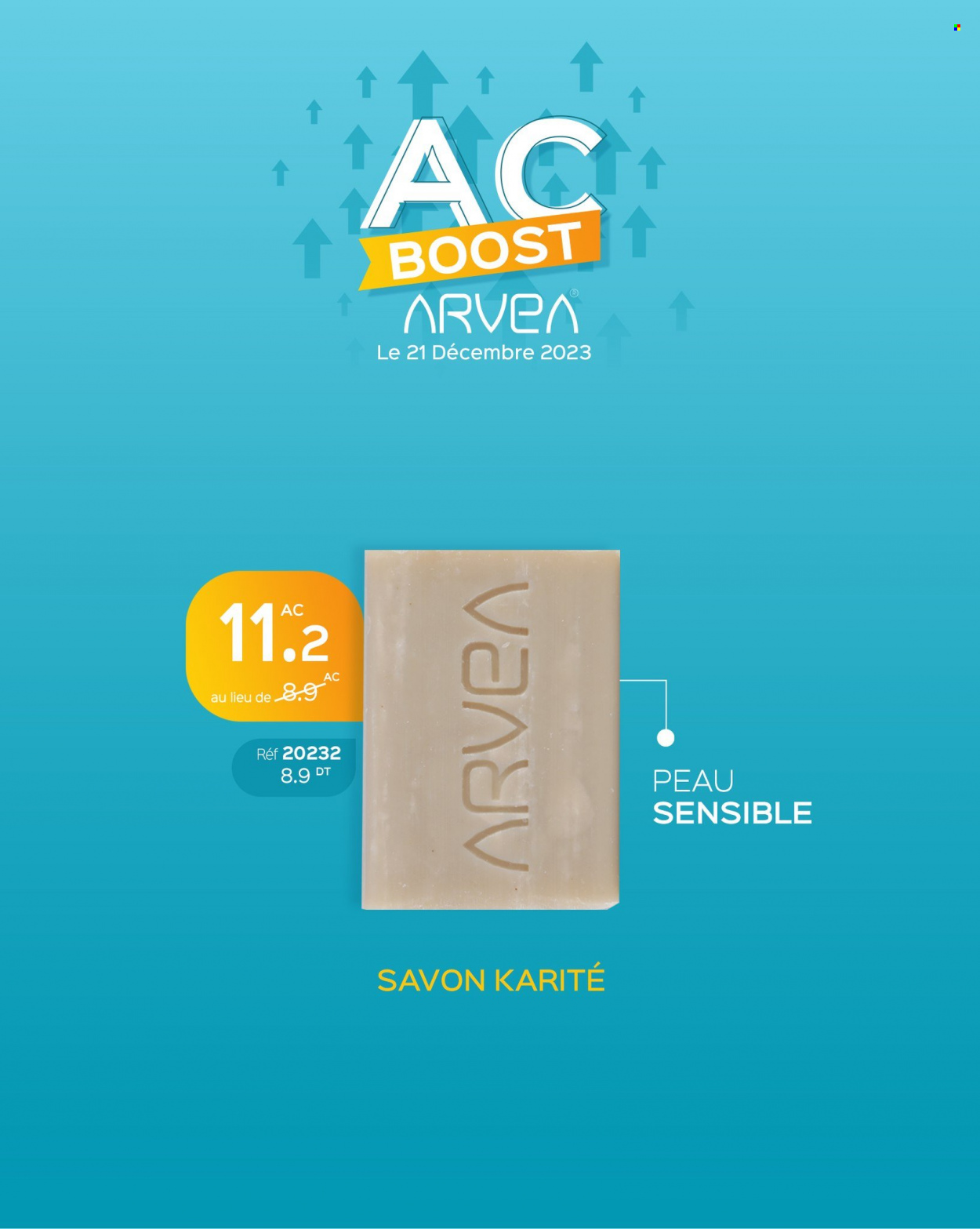 Catalogue ARVEA - 21/12/2023 - 21/12/2023. Page 11