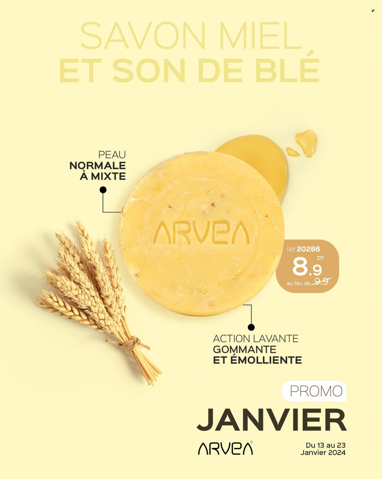 Catalogue ARVEA - 13/01/2024 - 23/01/2024. Page 13