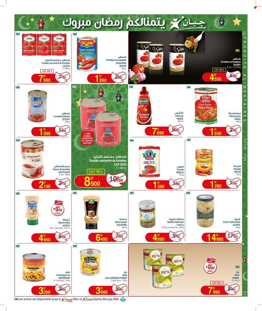 Catalogue Géant - 20/02/2024 - 10/03/2024. Page 3