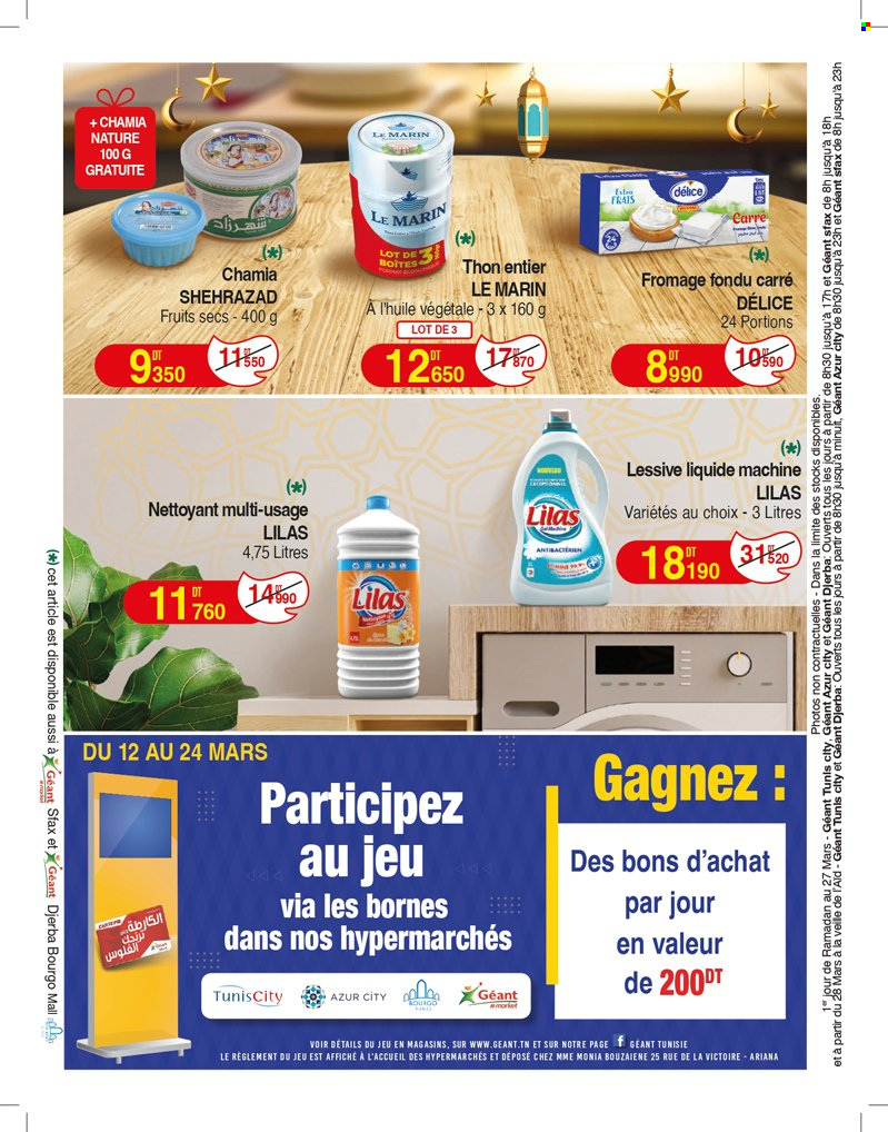 Catalogue Géant - 12/03/2024 - 24/03/2024. Page 16