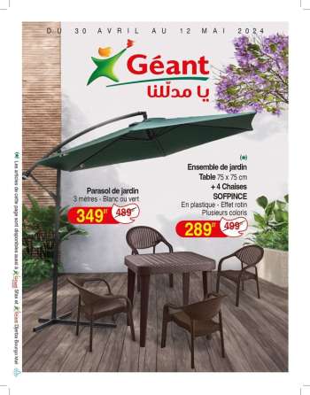 Catalogue Géant - 30/04/2024 - 12/05/2024.