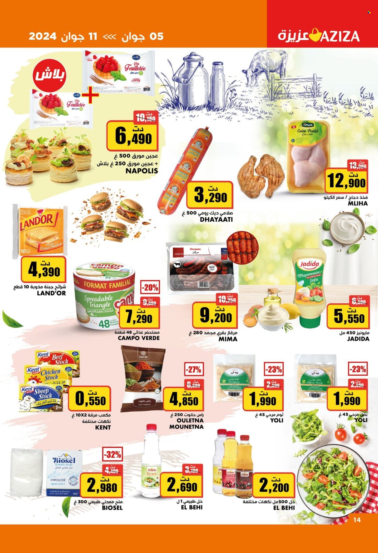 Catalogue Aziza - 05/06/2024 - 11/06/2024. Page 18