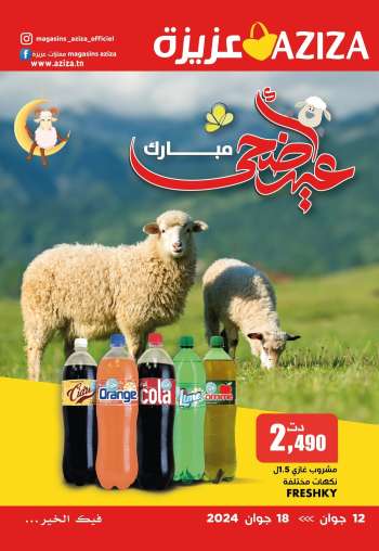 Catalogue Aziza - 12/06/2024 - 18/06/2024.