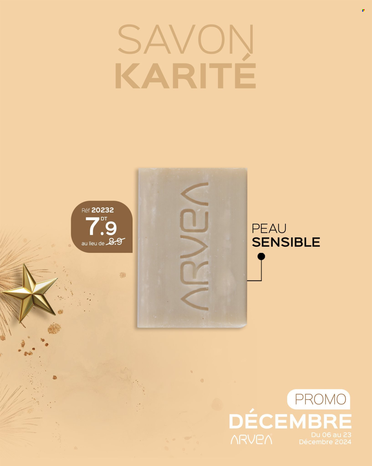 Catalogue ARVEA - 06/12/2024 - 23/12/2024. Page 30