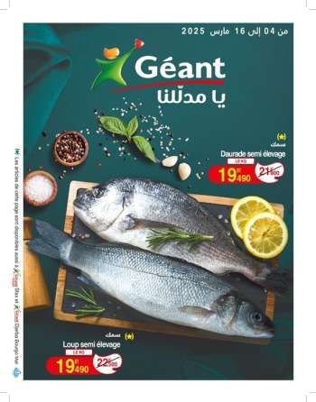 Catalogue Géant - 04/03/2025 - 16/03/2025.