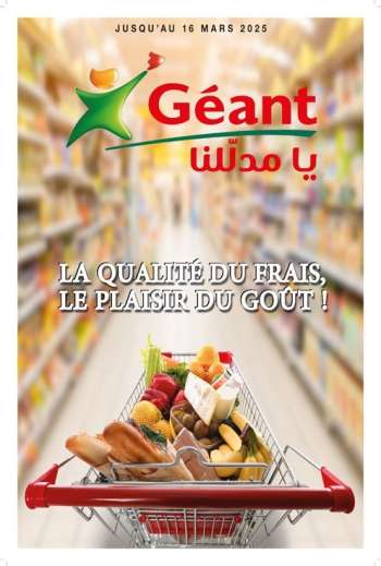 Catalogue Géant - 11/03/2025 - 16/03/2025.