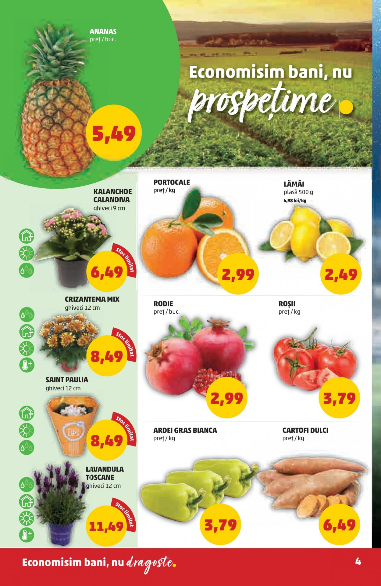 Catalog PENNY - 14.07.2021 - 20.07.2021. Pagina 4