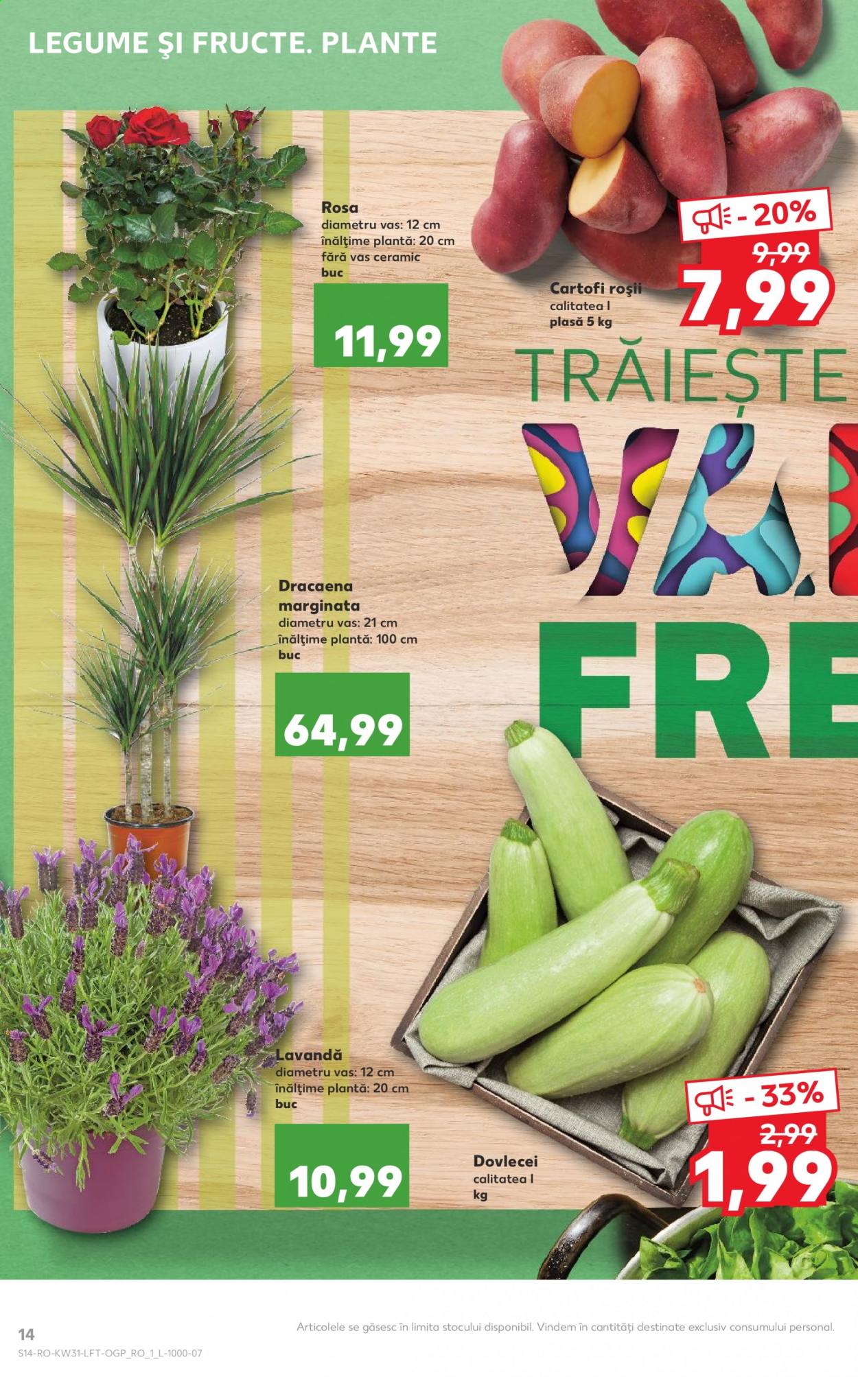 Catalog Kaufland - 04.08.2021 - 10.08.2021. Pagina 14