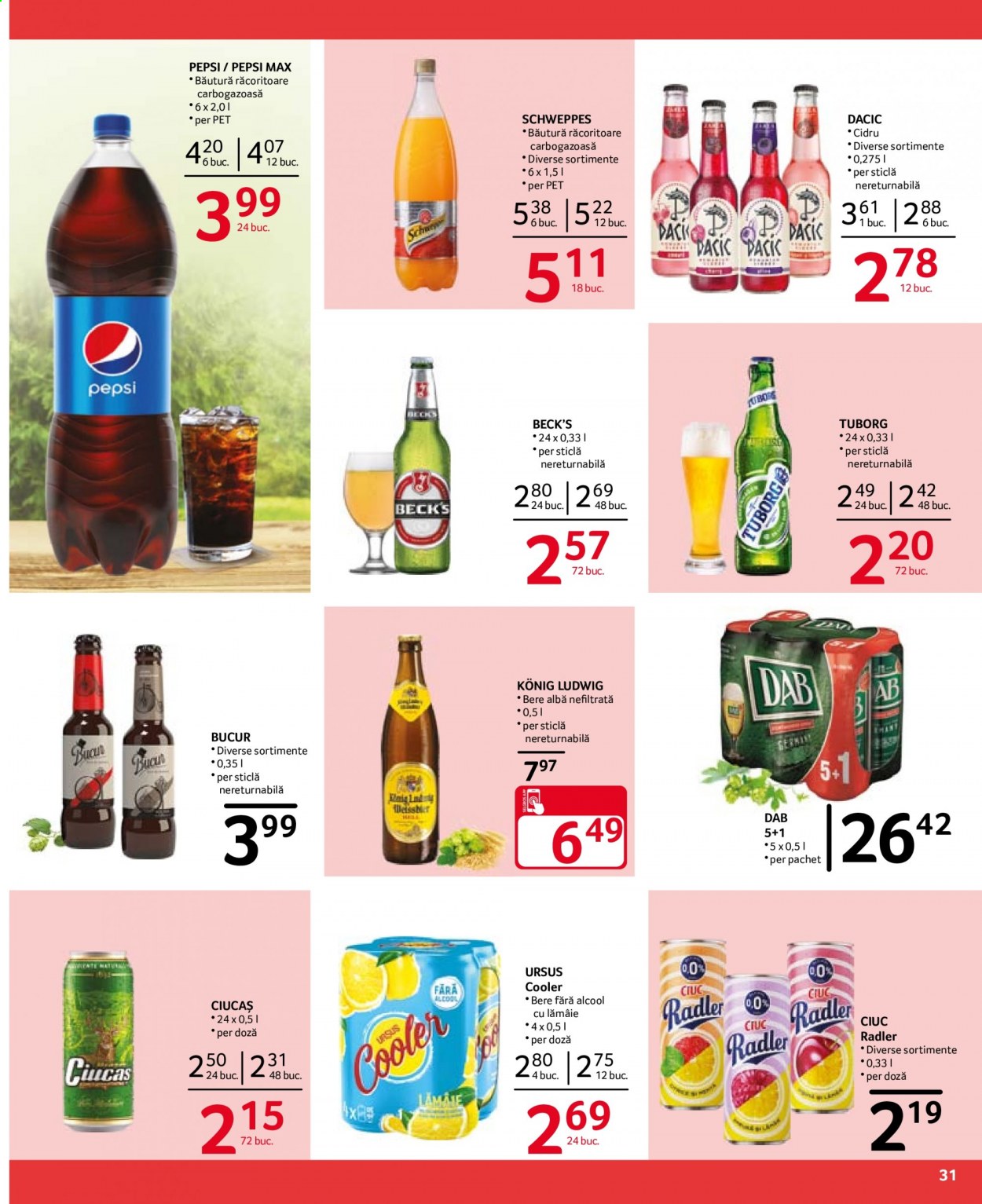 Catalog Selgros - 06.08.2021 - 19.08.2021. Pagina 31