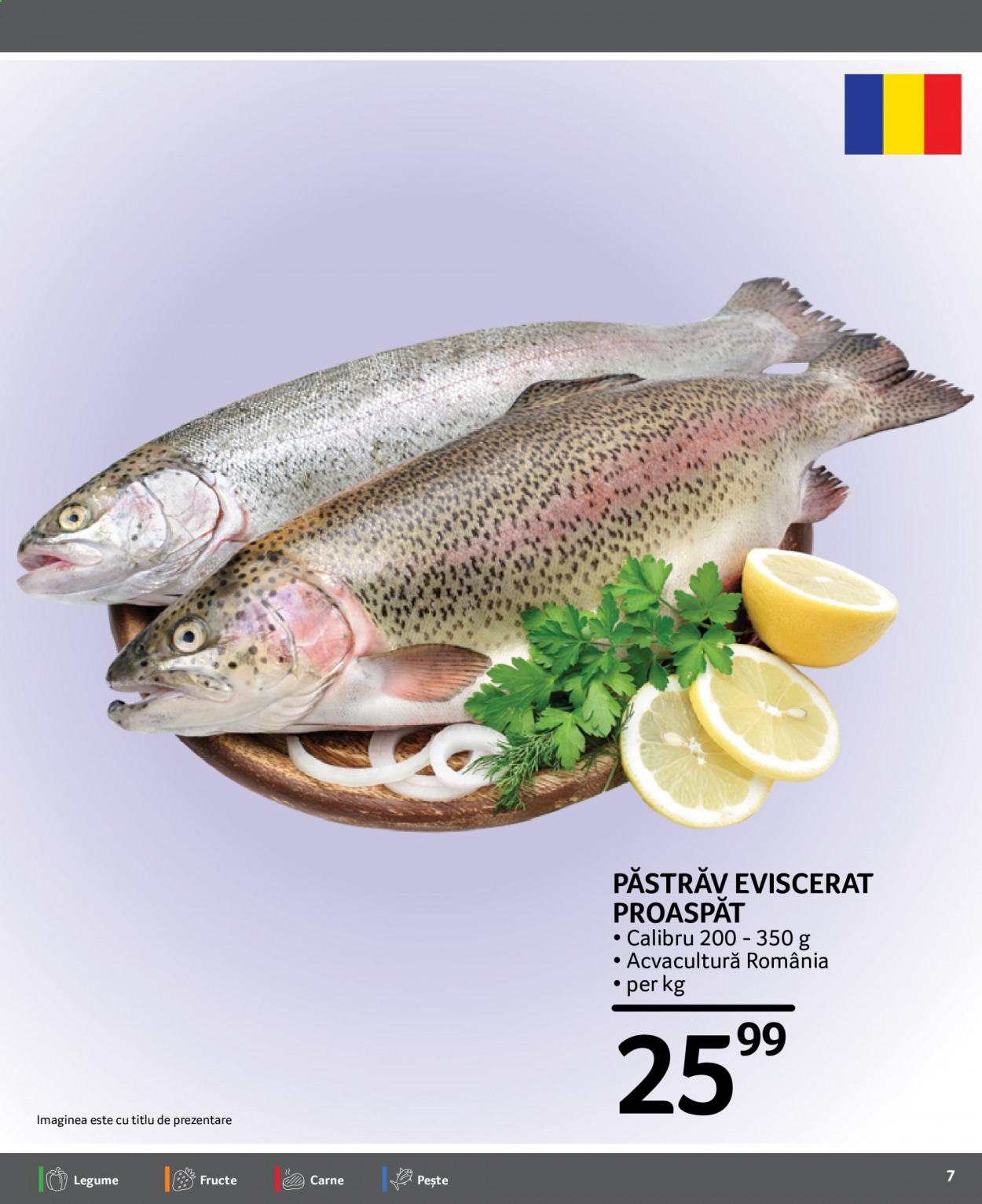 Catalog Selgros - 06.08.2021 - 12.08.2021. Pagina 7