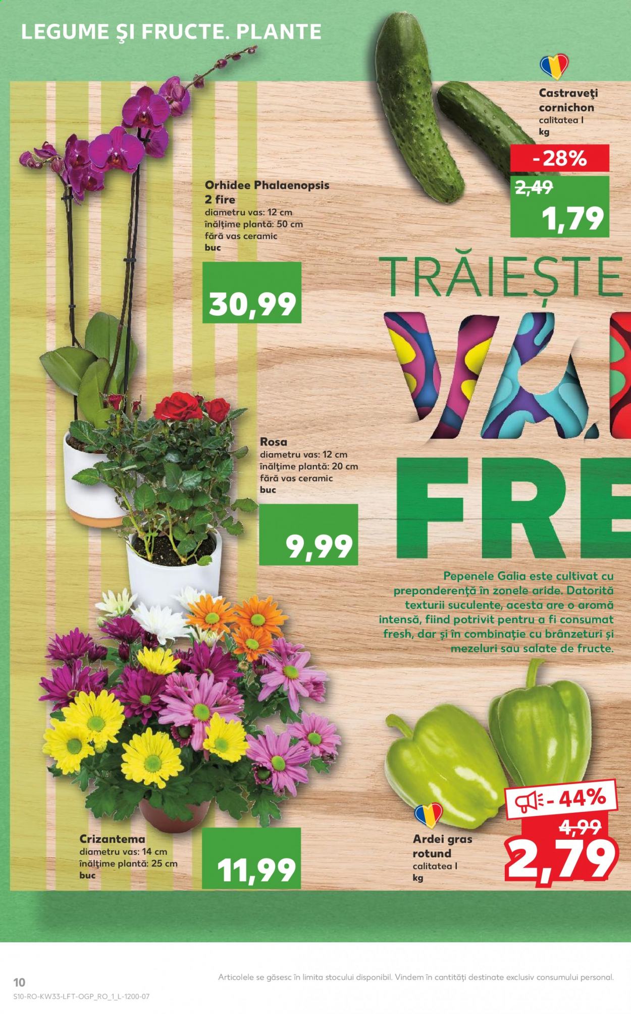 Catalog Kaufland - 18.08.2021 - 24.08.2021. Pagina 10