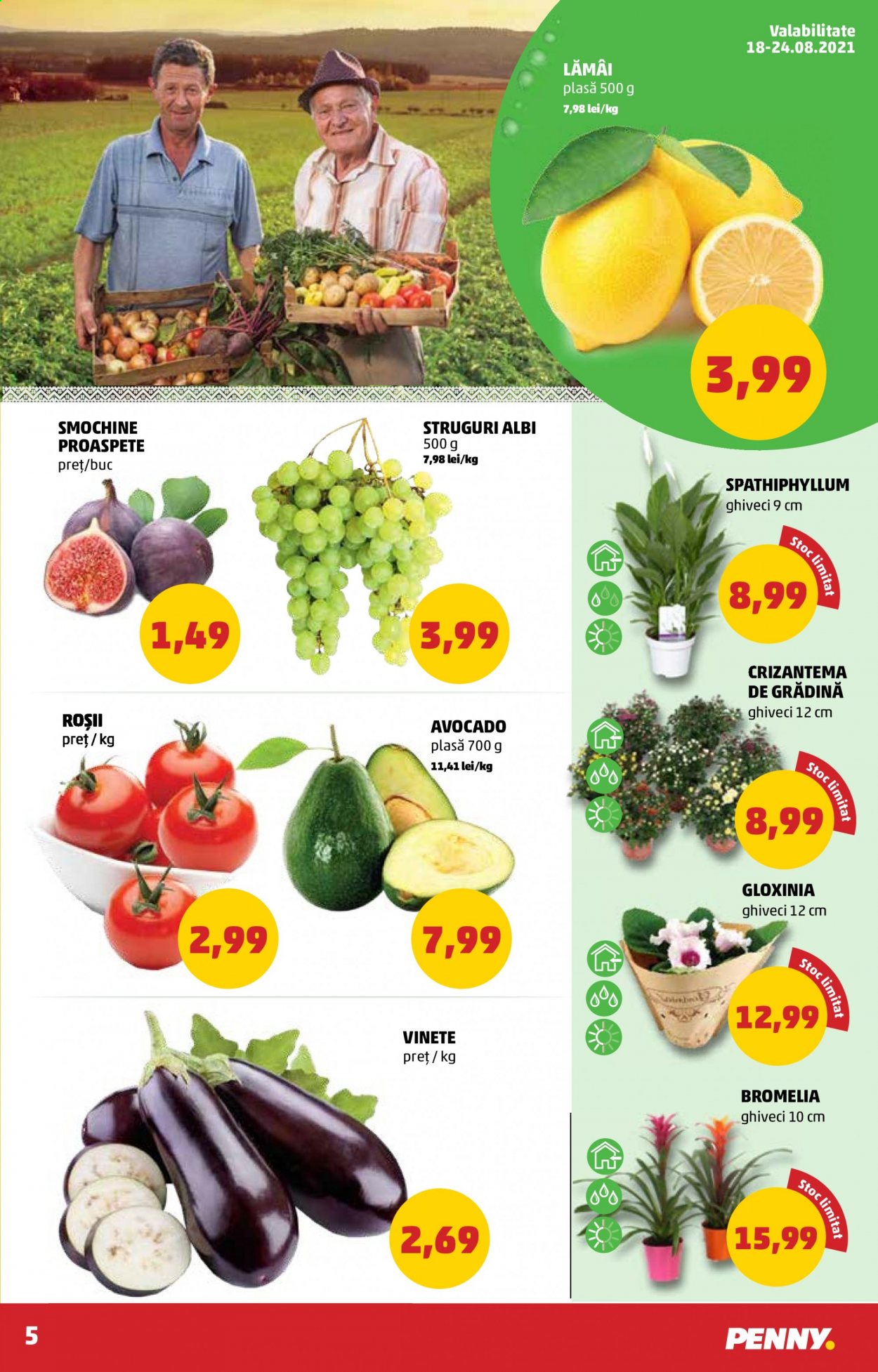 Catalog PENNY - 18.08.2021 - 24.08.2021. Pagina 5