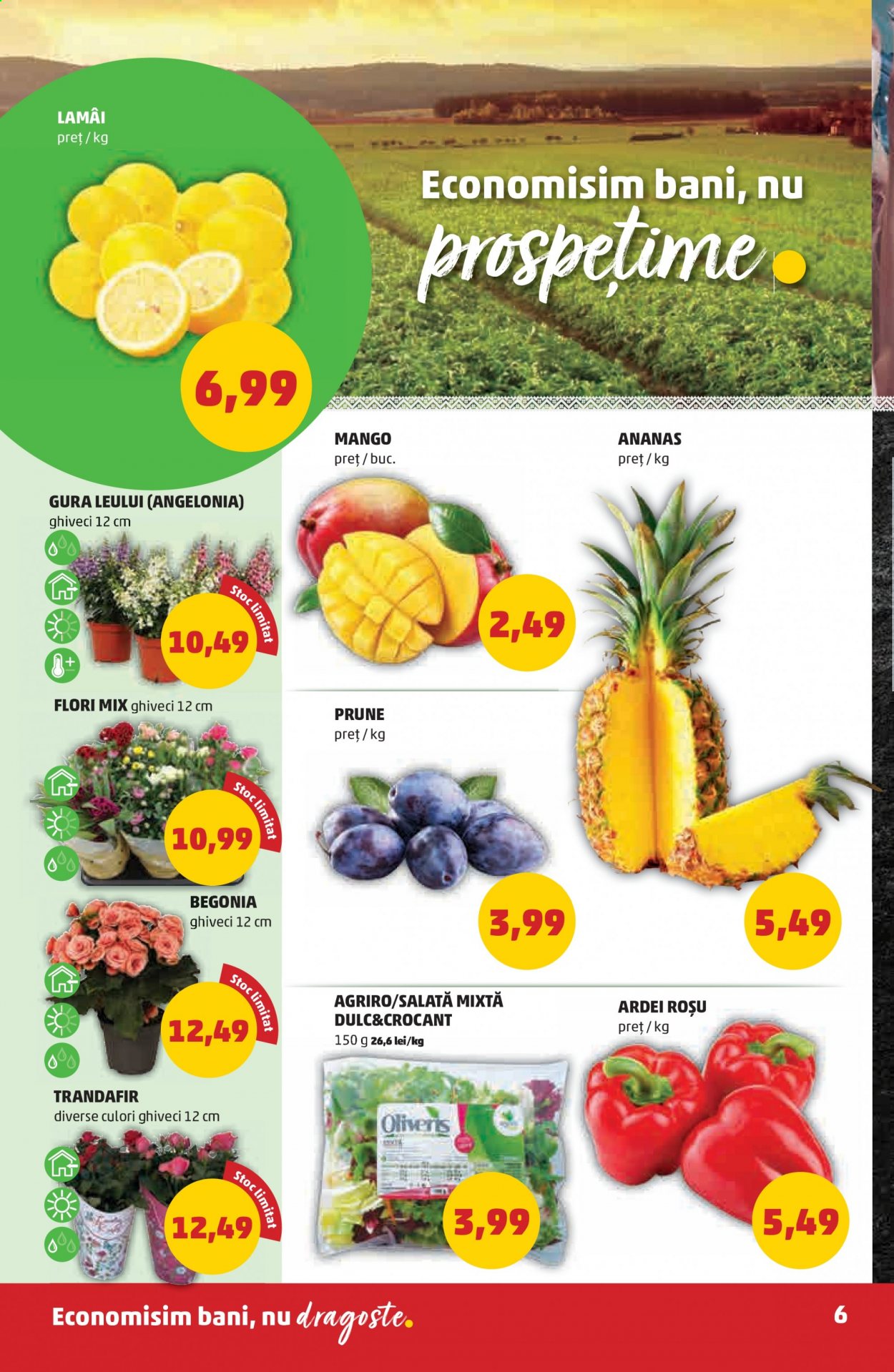 Catalog PENNY - 25.08.2021 - 31.08.2021. Pagina 6