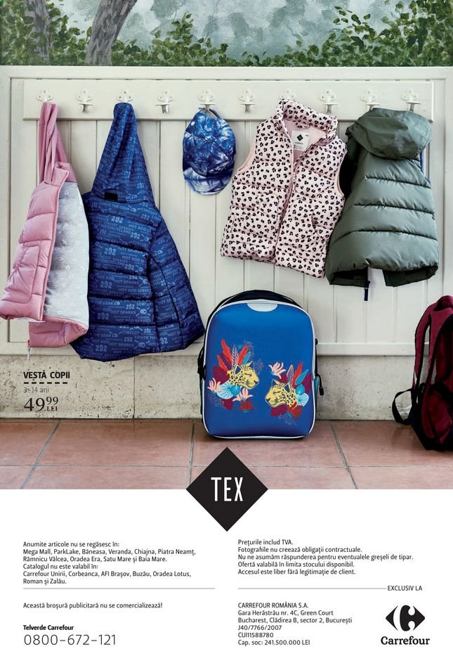 Catalog Carrefour - 26.08.2021 - 29.09.2021. Pagina 17