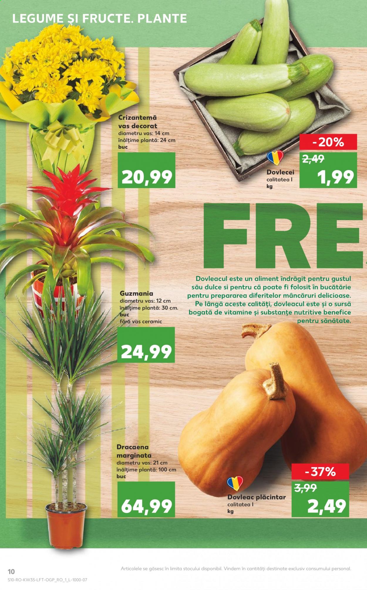 Catalog Kaufland - 01.09.2021 - 07.09.2021. Pagina 10