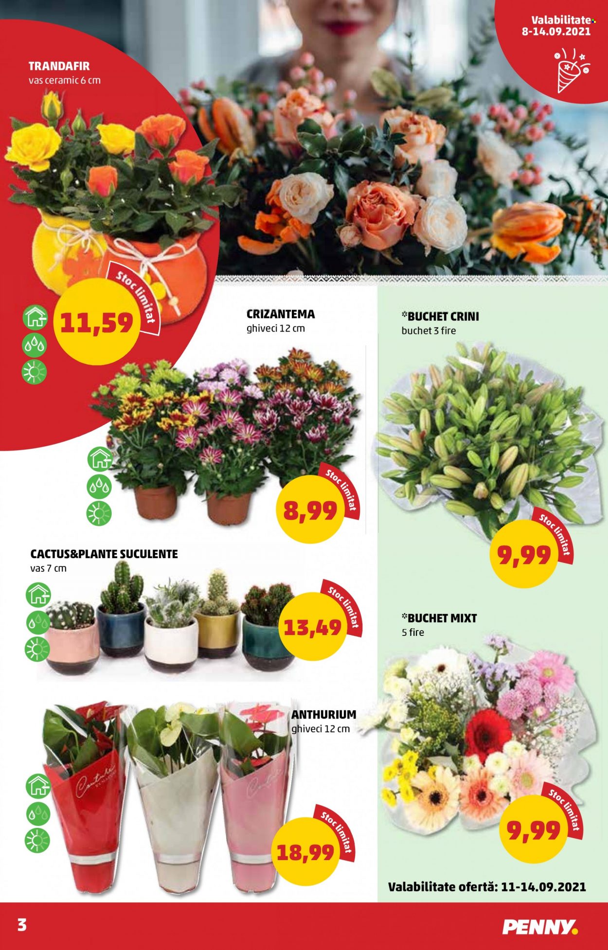 Catalog PENNY - 08.09.2021 - 14.09.2021. Pagina 3