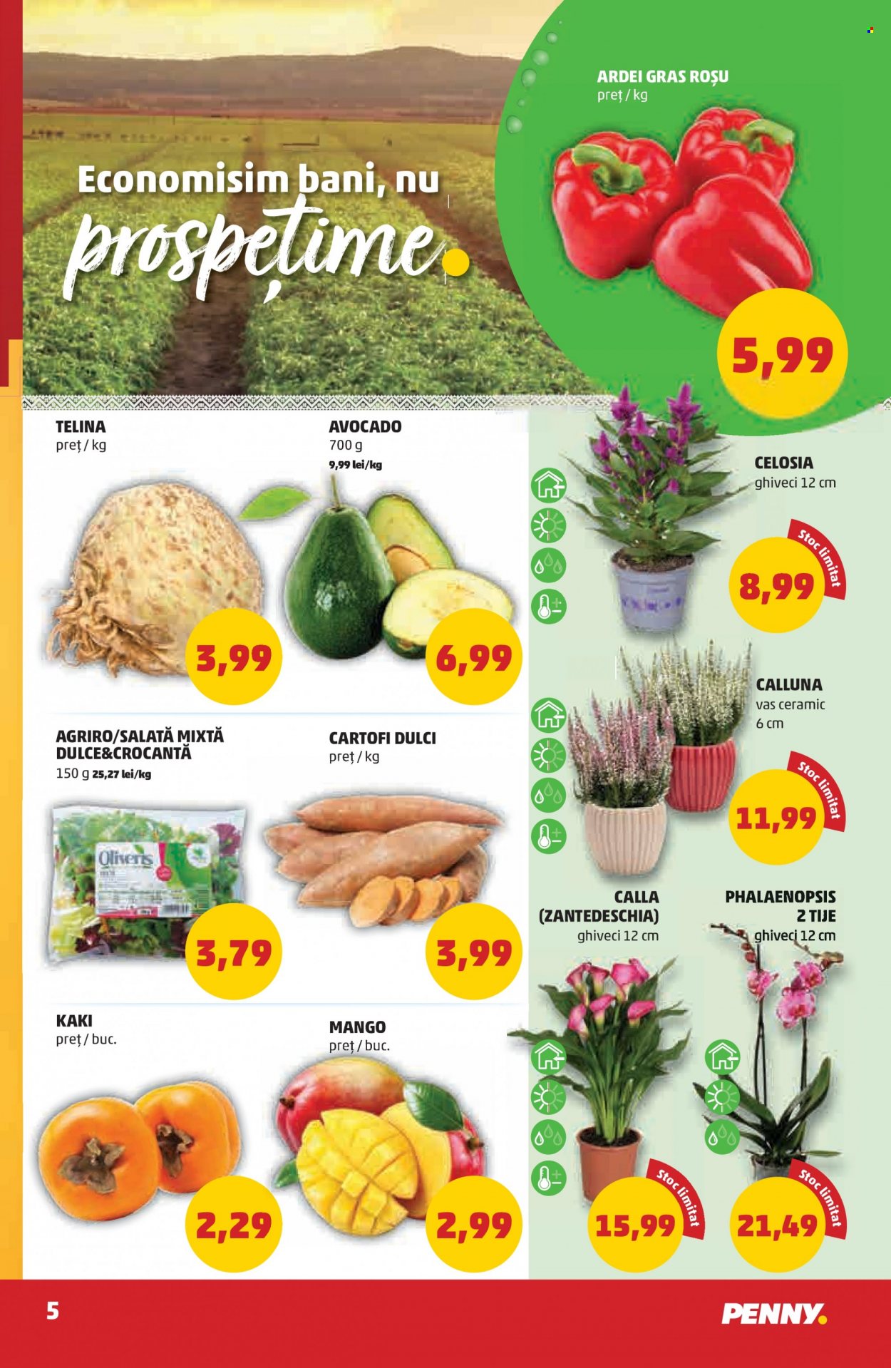 Catalog PENNY - 15.09.2021 - 21.09.2021. Pagina 5