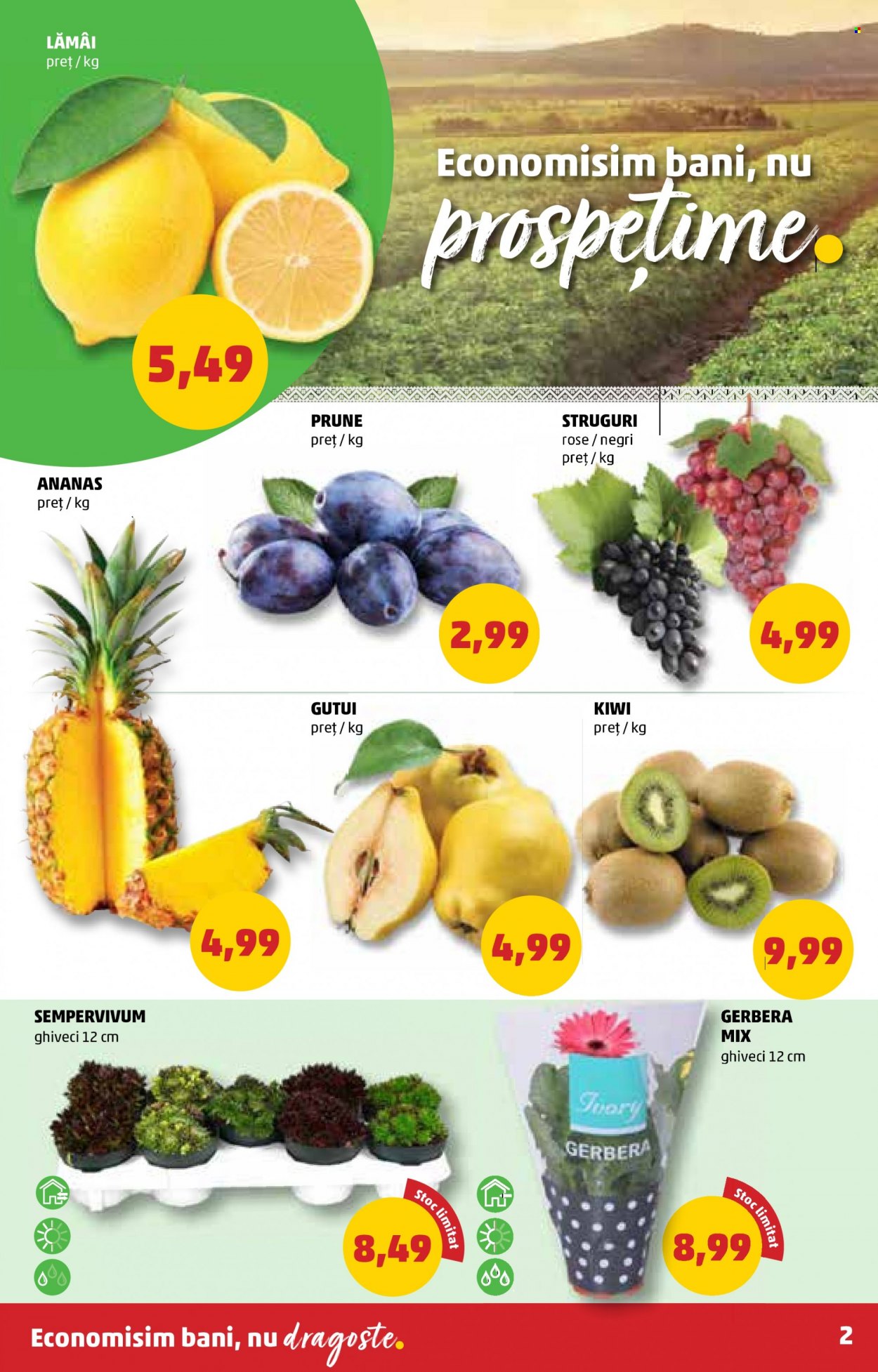 Catalog PENNY - 22.09.2021 - 28.09.2021. Pagina 2