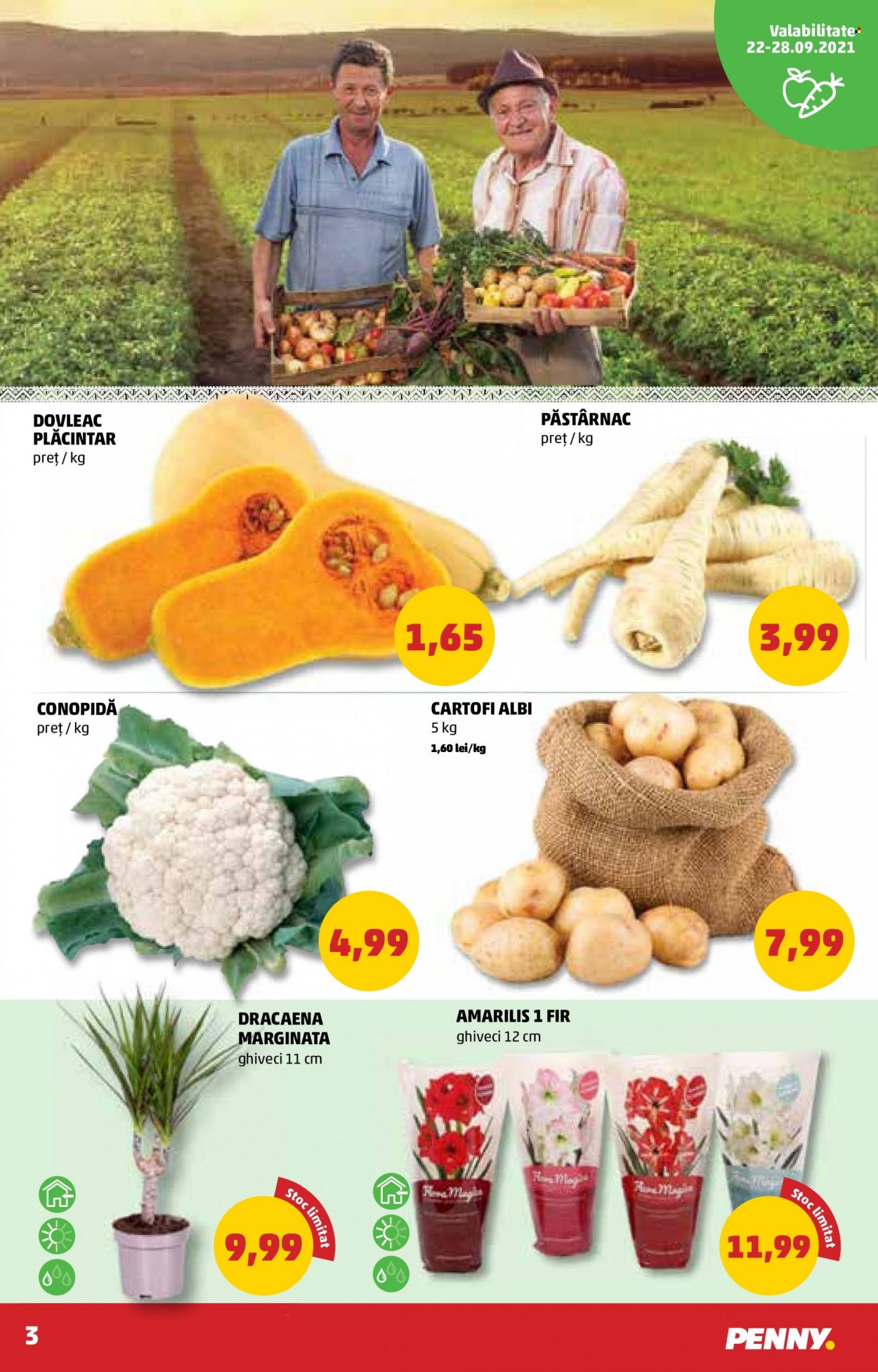 Catalog PENNY - 22.09.2021 - 28.09.2021. Pagina 3