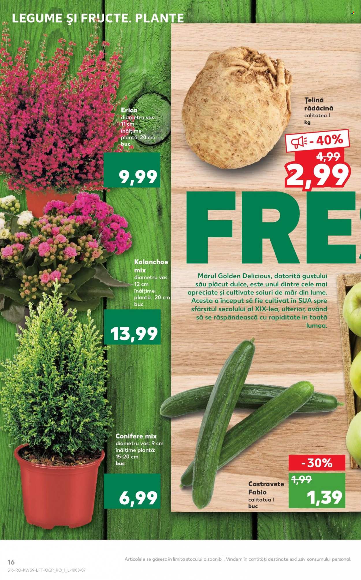 Catalog Kaufland - 29.09.2021 - 05.10.2021. Pagina 16