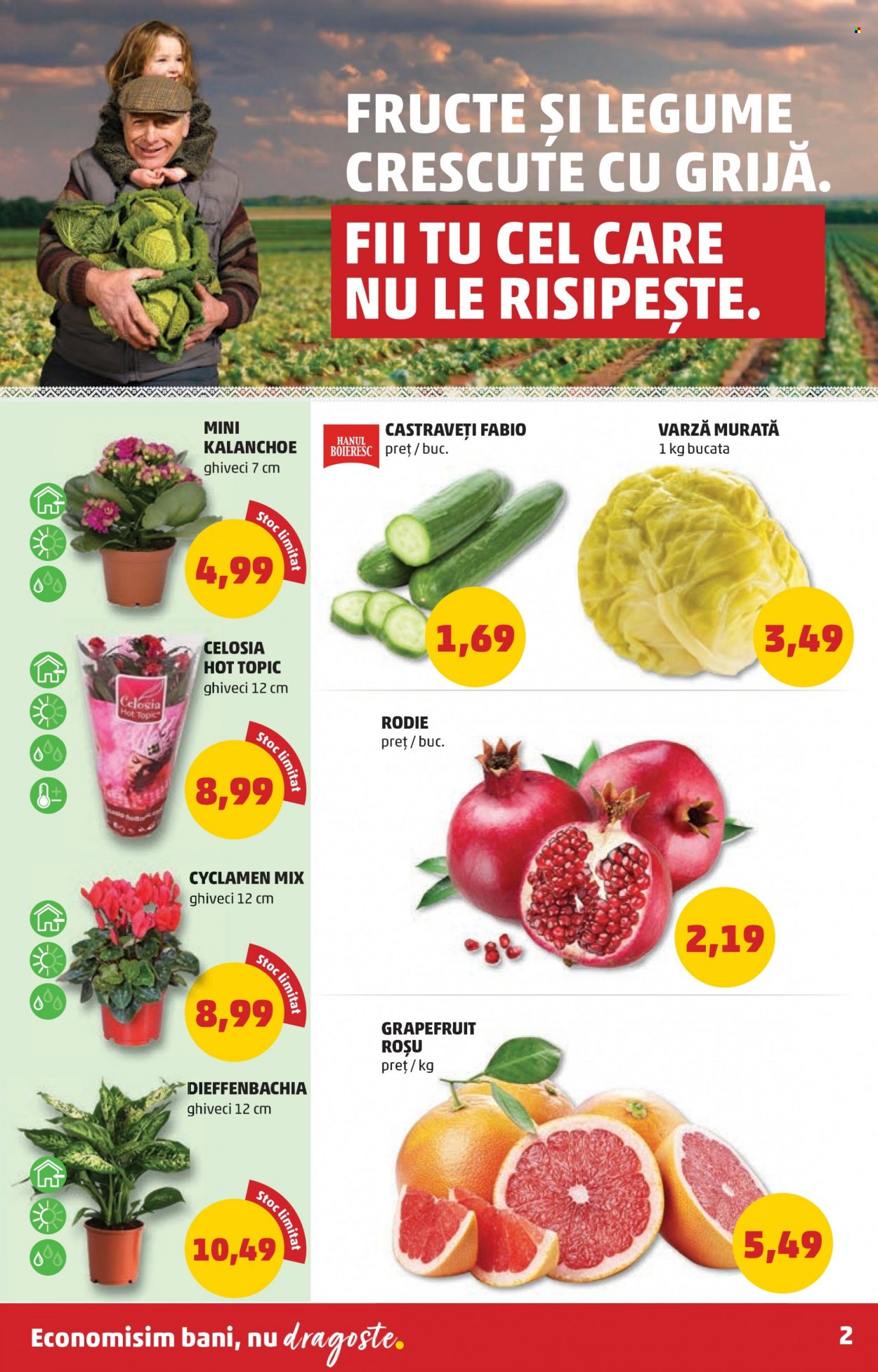 Catalog PENNY - 29.09.2021 - 05.10.2021. Pagina 2