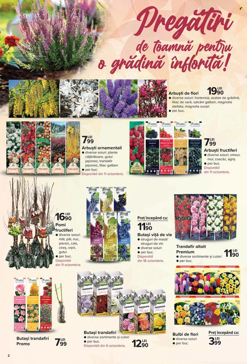 Catalog Carrefour - 30.09.2021 - 27.10.2021. Pagina 3