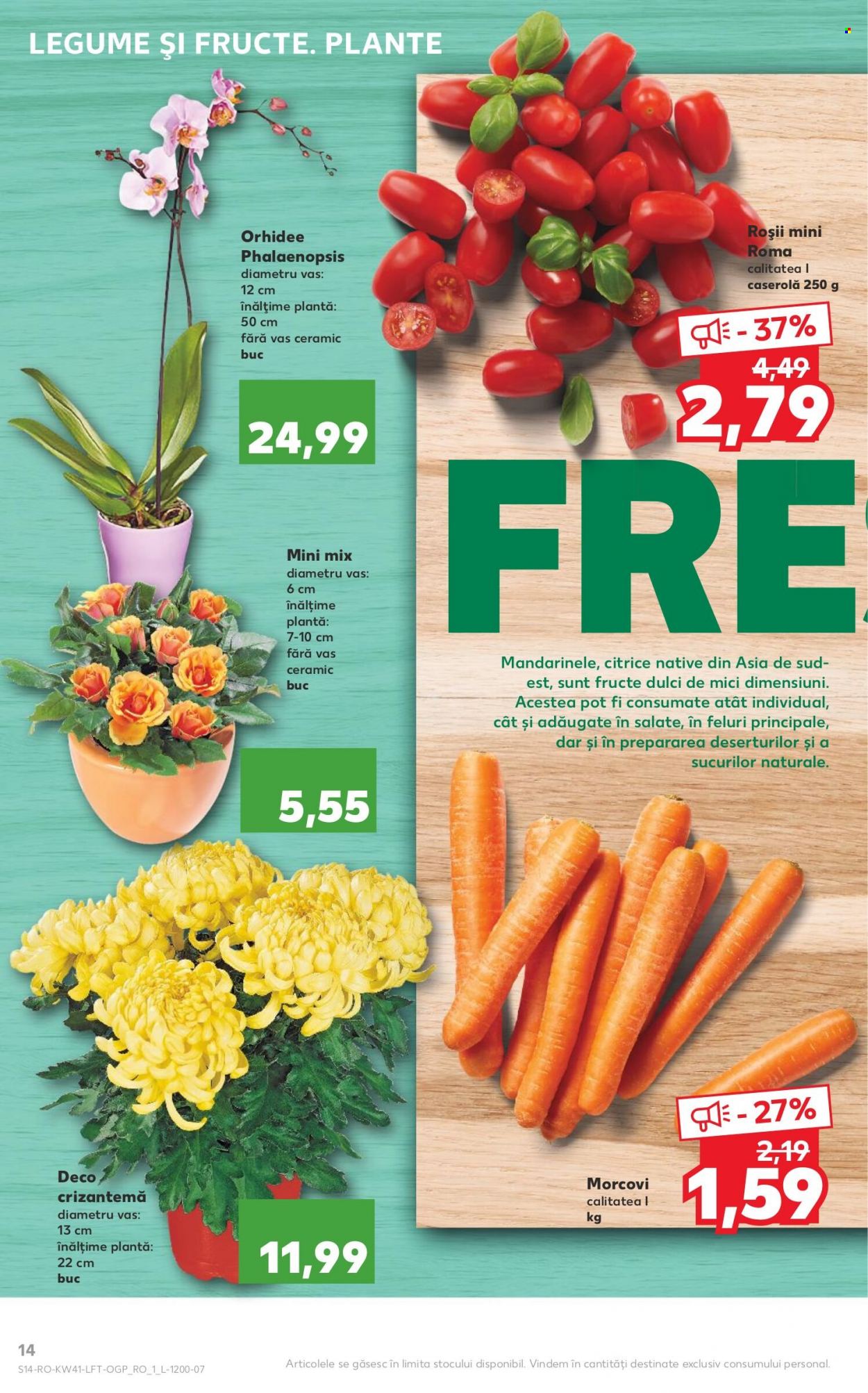 Catalog Kaufland - 13.10.2021 - 19.10.2021. Pagina 14