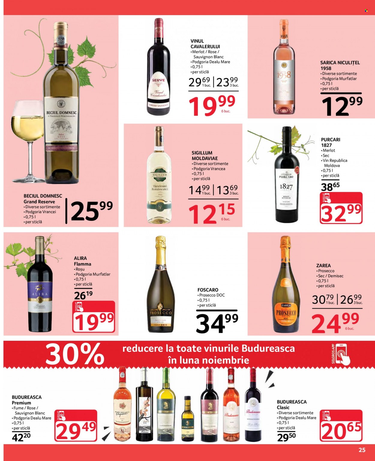 Catalog Selgros - 29.10.2021 - 11.11.2021. Pagina 25