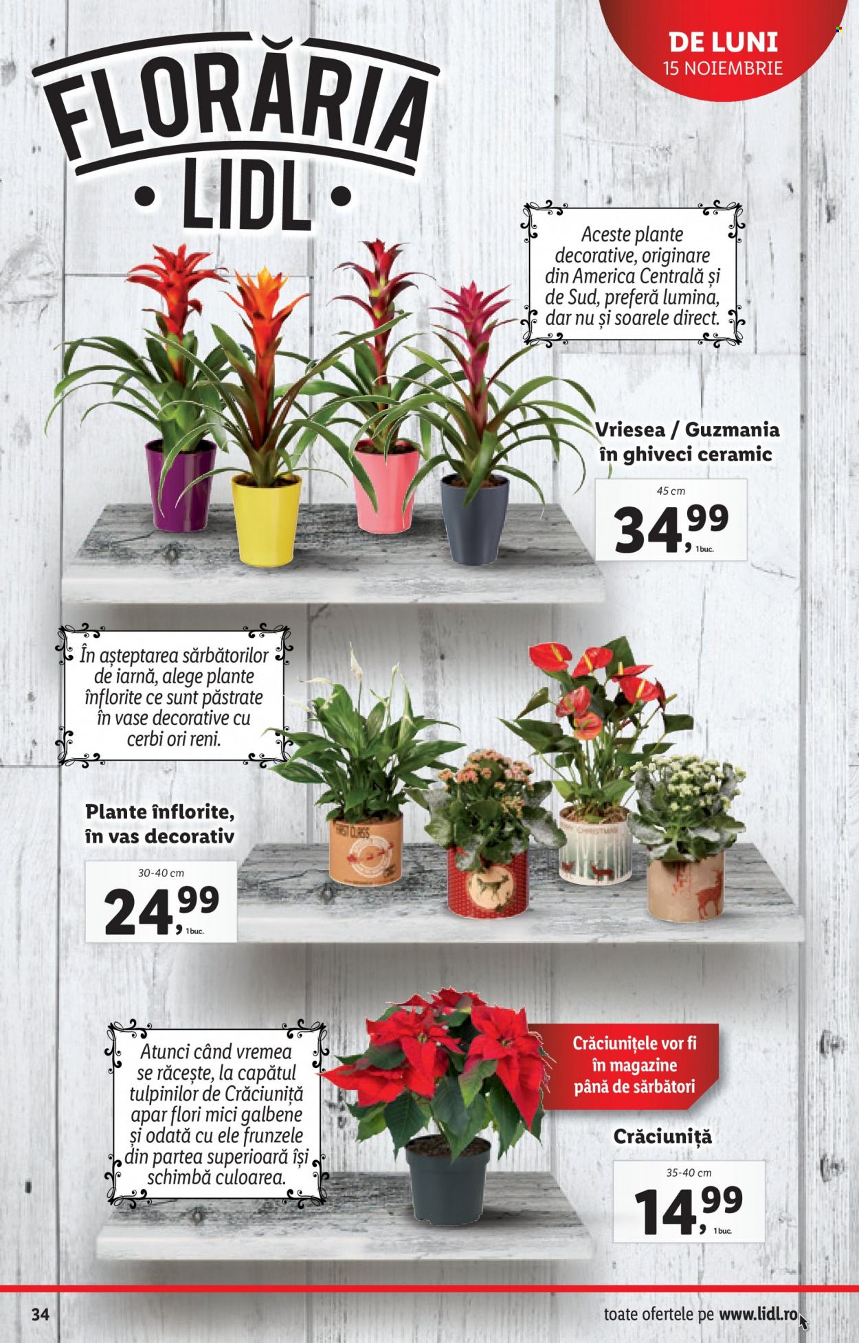 Catalog Lidl - 15.11.2021 - 21.11.2021. Pagina 34