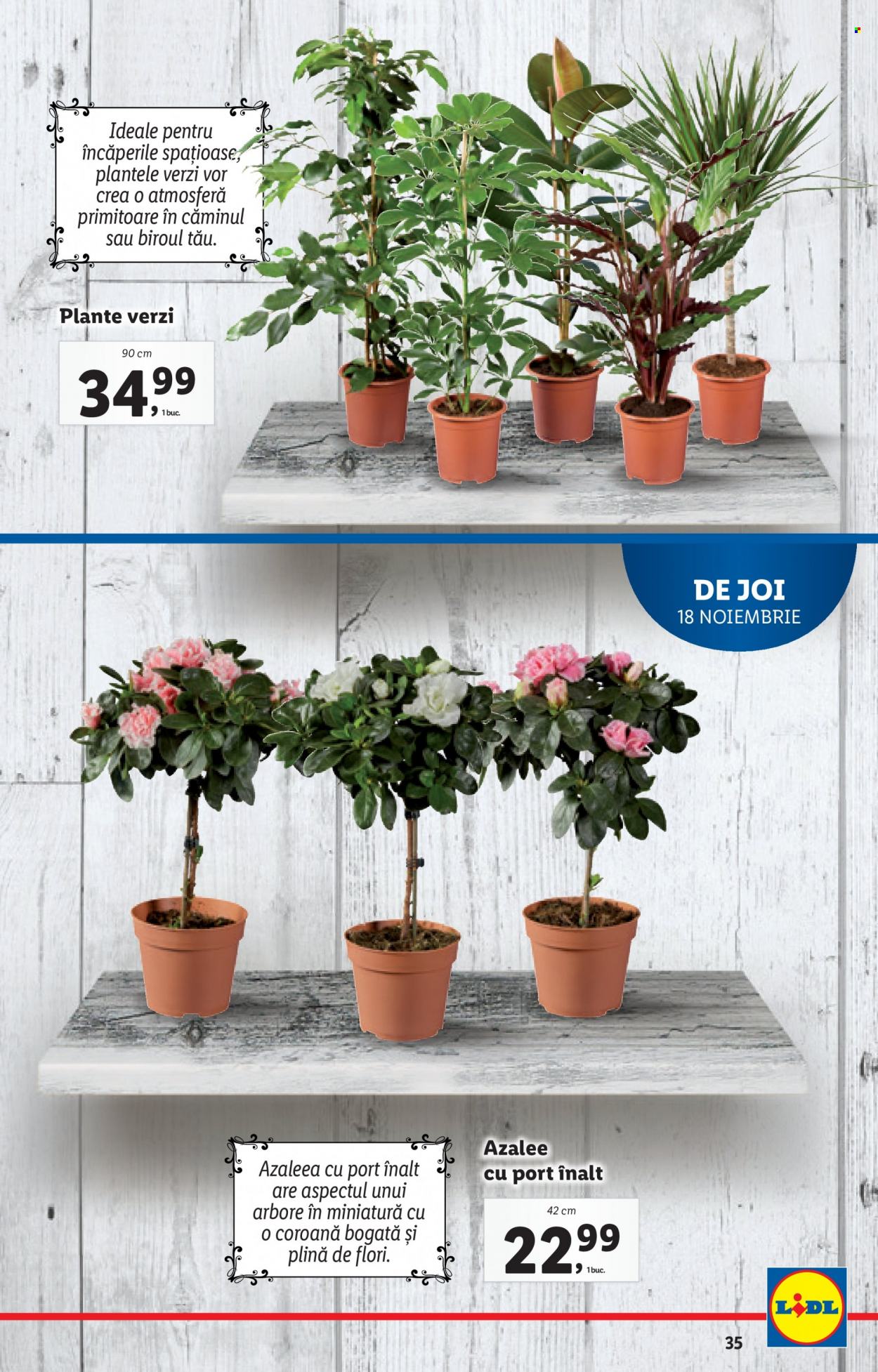 Catalog Lidl - 15.11.2021 - 21.11.2021. Pagina 35