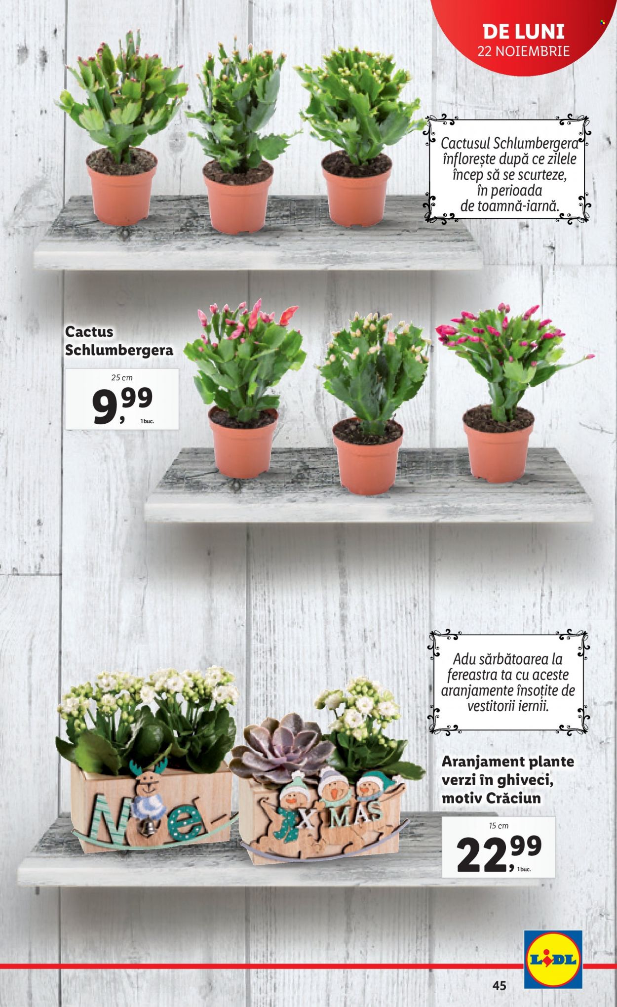 Catalog Lidl - 22.11.2021 - 28.11.2021. Pagina 45