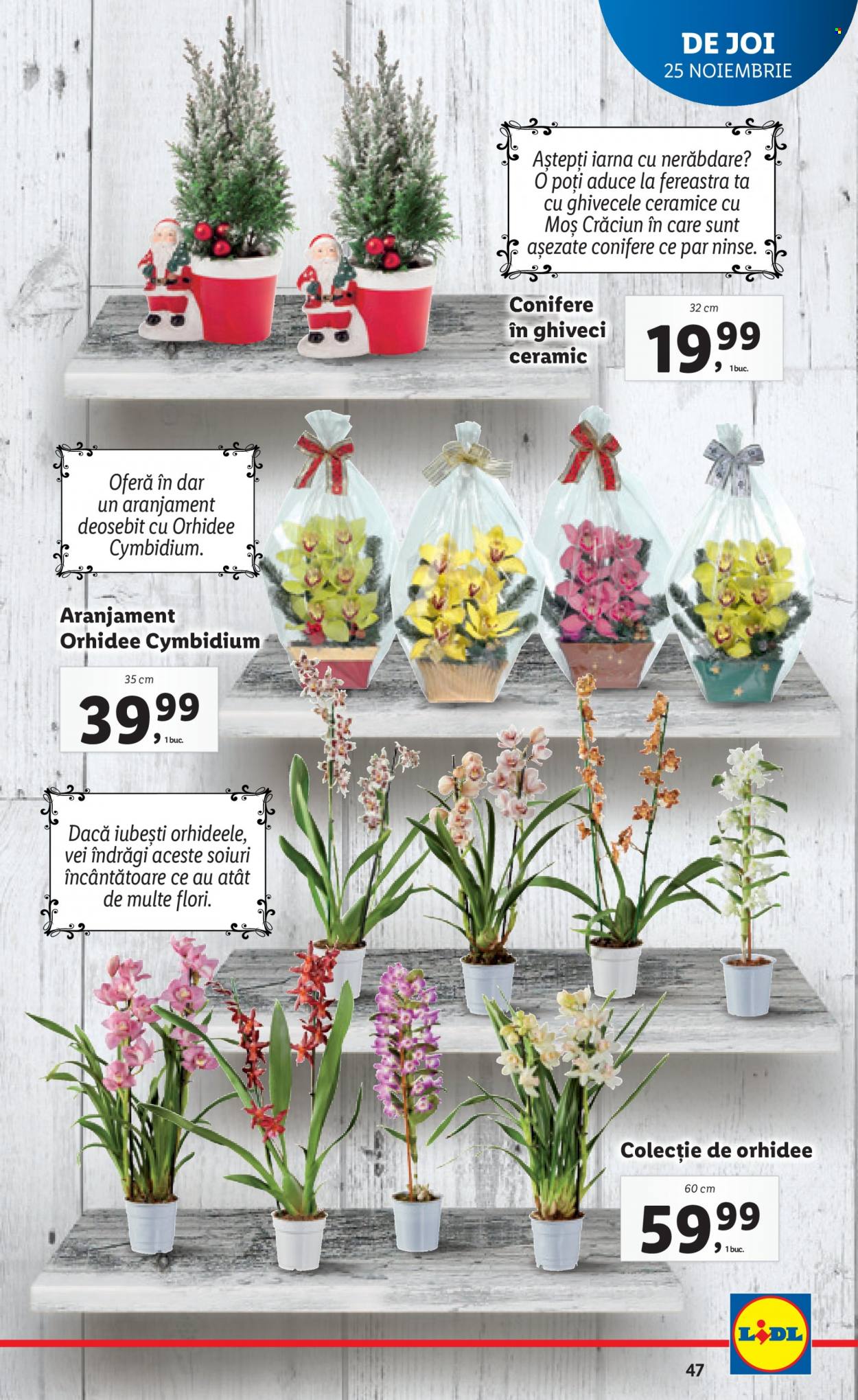 Catalog Lidl - 22.11.2021 - 28.11.2021. Pagina 47