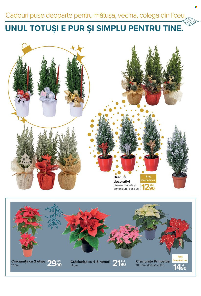 Catalog Carrefour - 27.11.2021 - 29.12.2021. Pagina 40