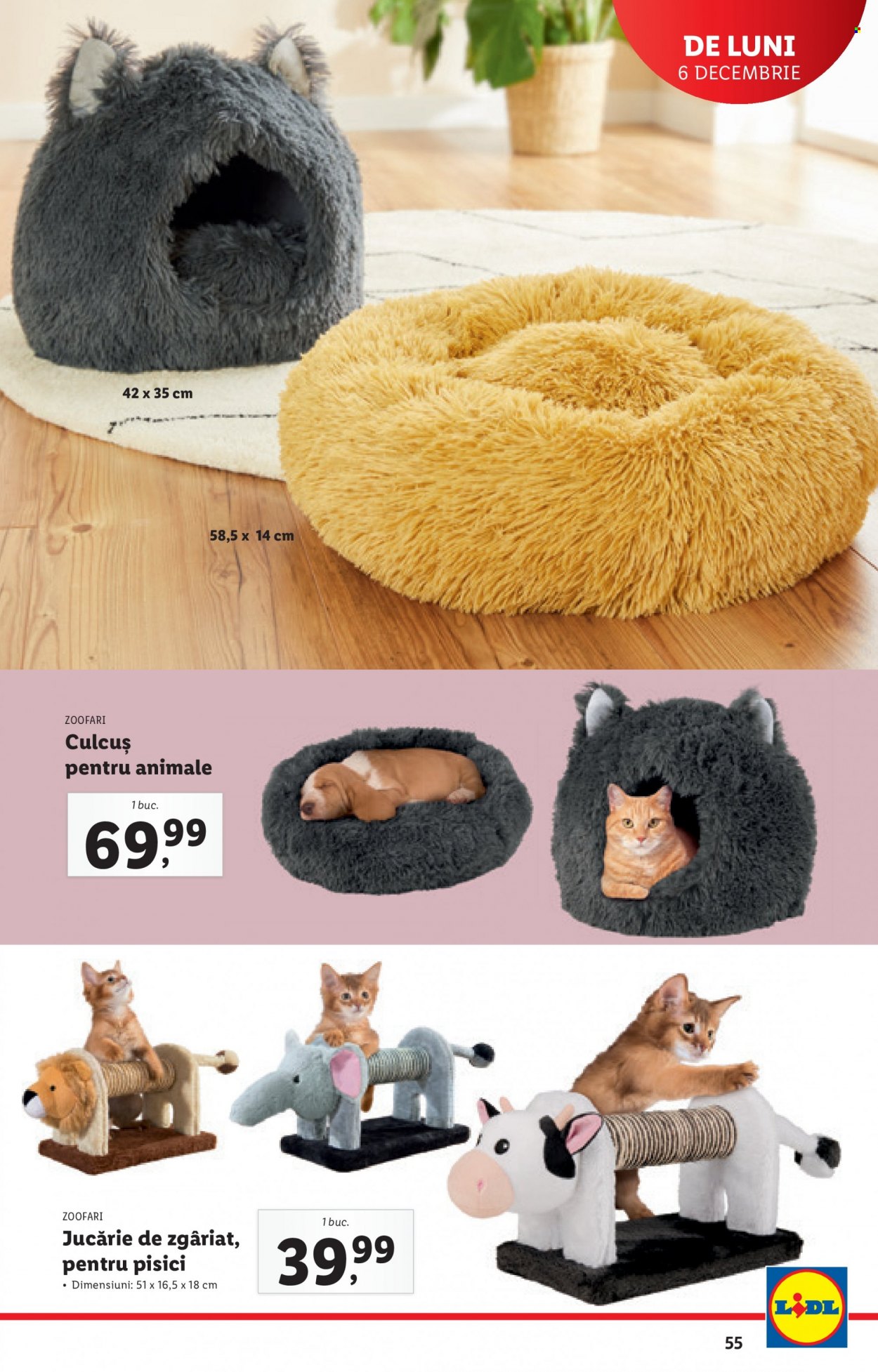 Catalog Lidl - 06.12.2021 - 12.12.2021. Pagina 55