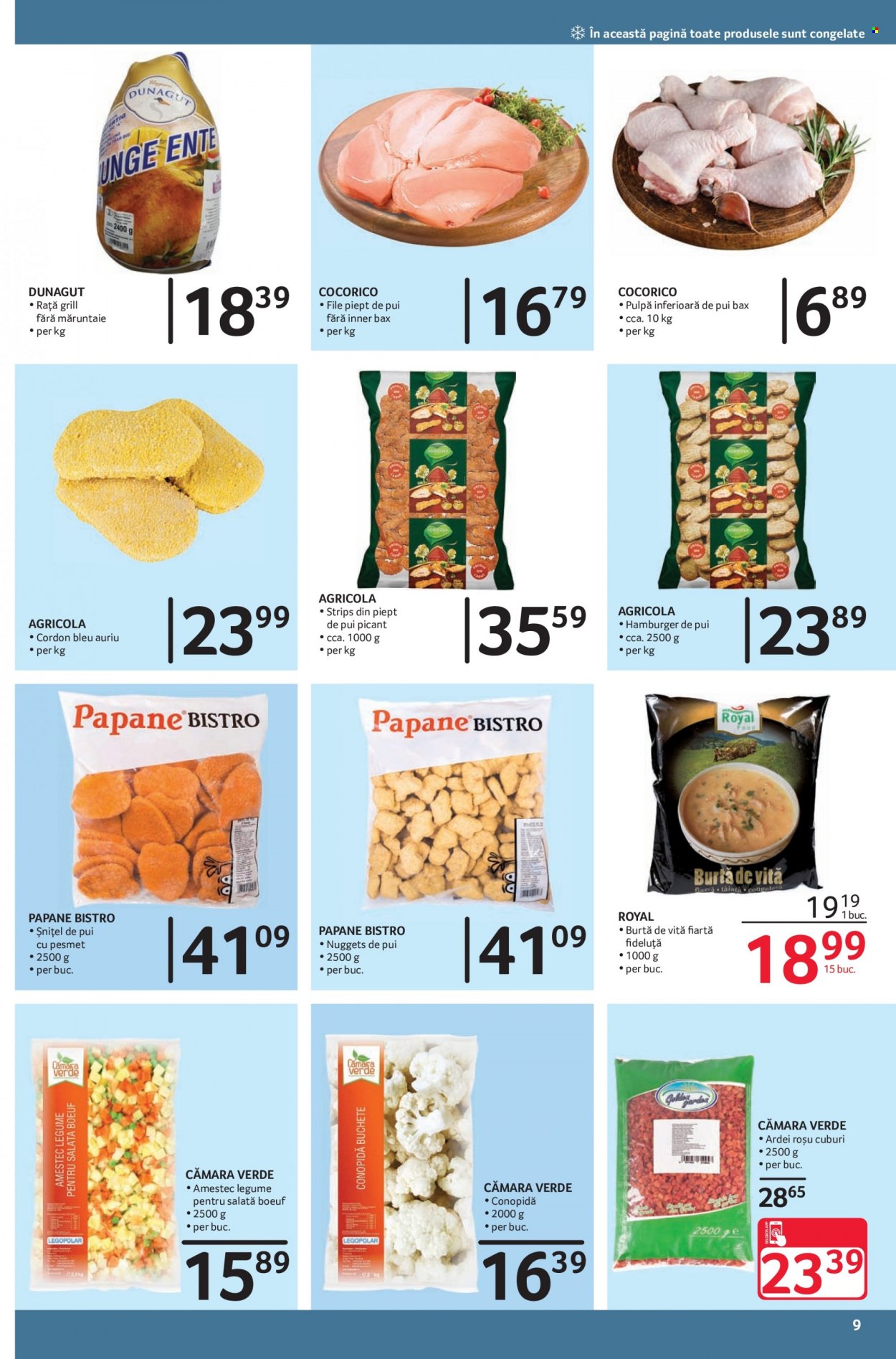 Catalog Selgros - 01.12.2021 - 31.12.2021. Pagina 9