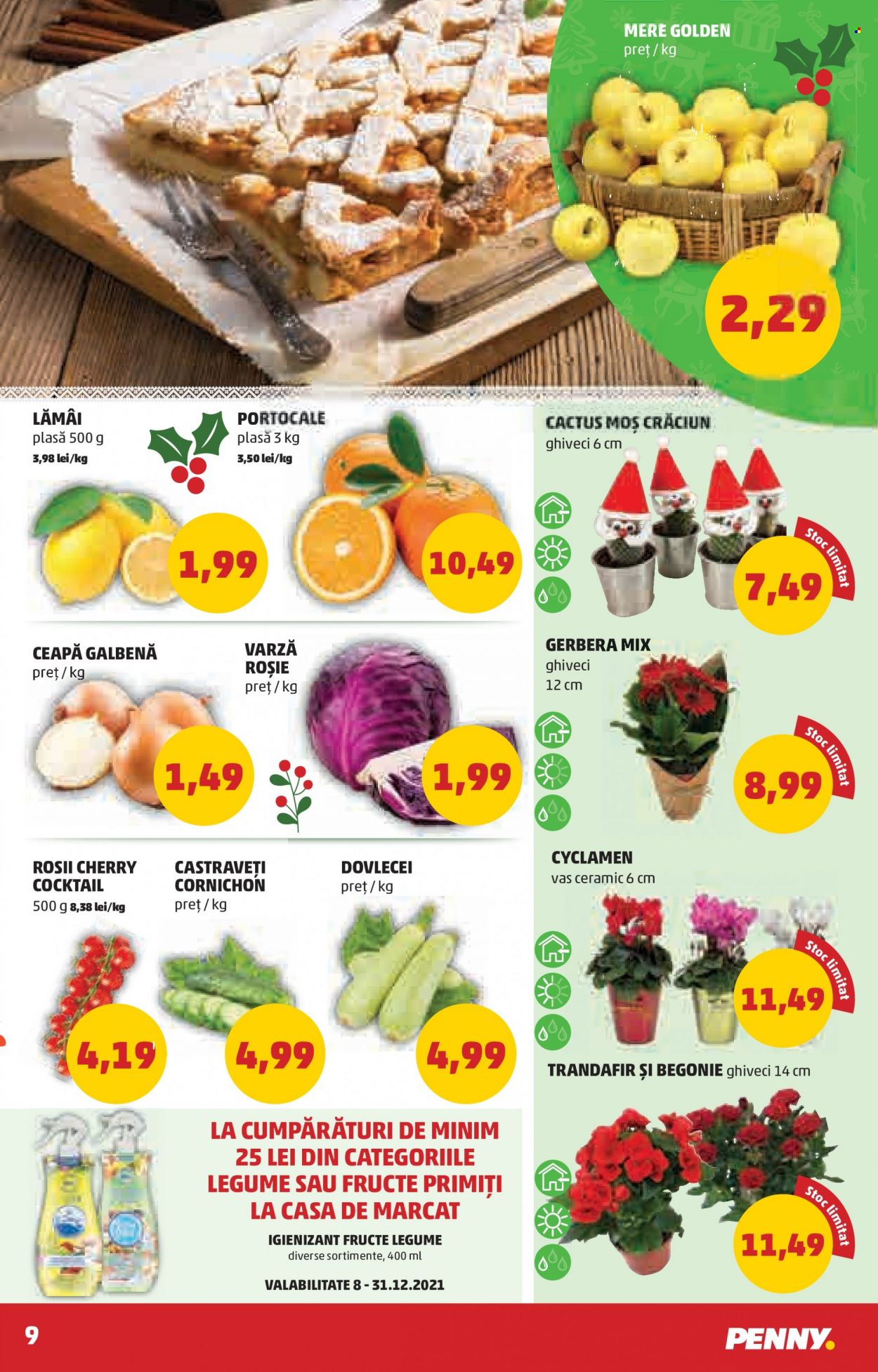 Catalog PENNY - 08.12.2021 - 14.12.2021. Pagina 11
