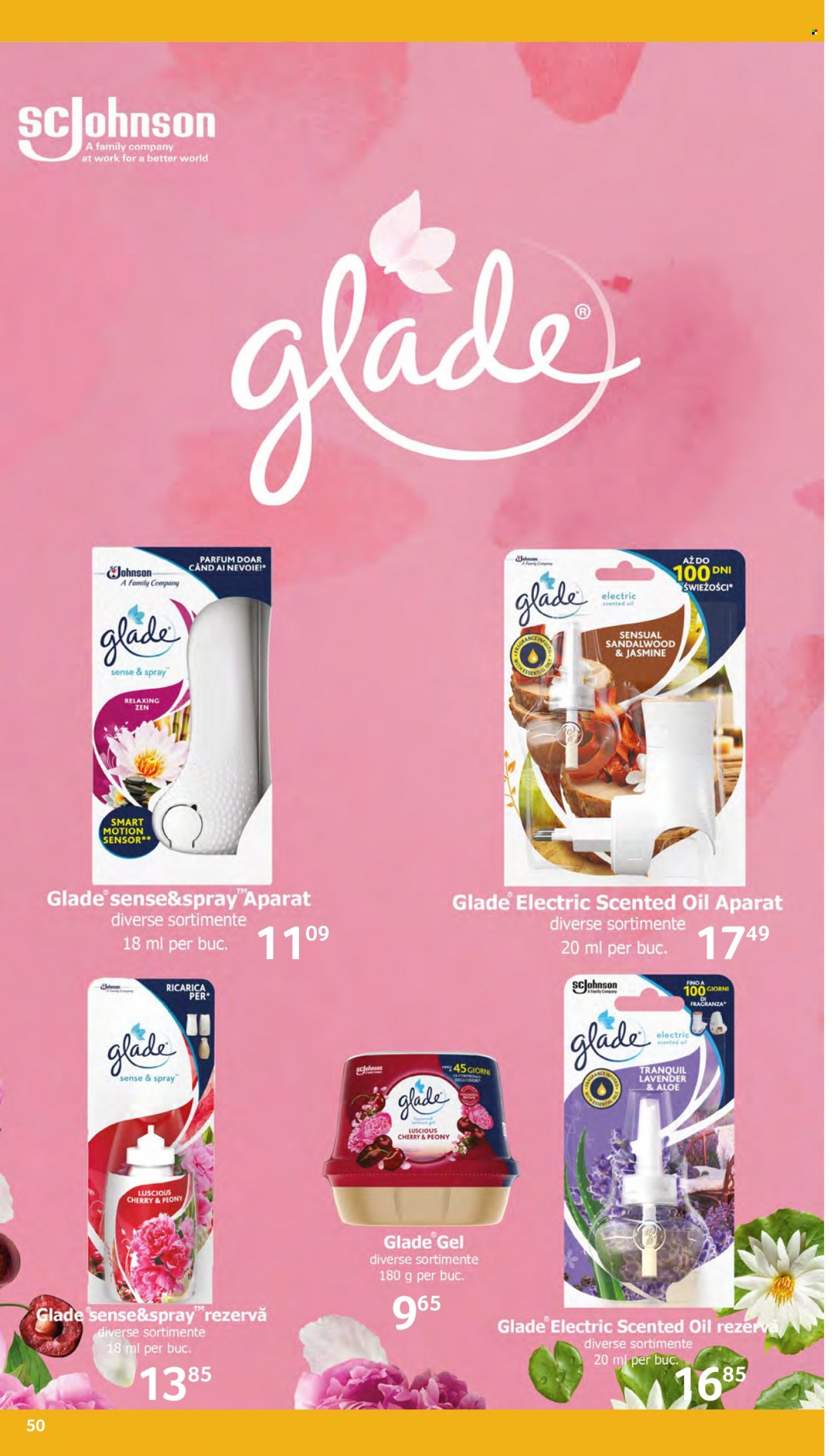 Catalog Selgros - 10.12.2021 - 31.12.2021. Pagina 50