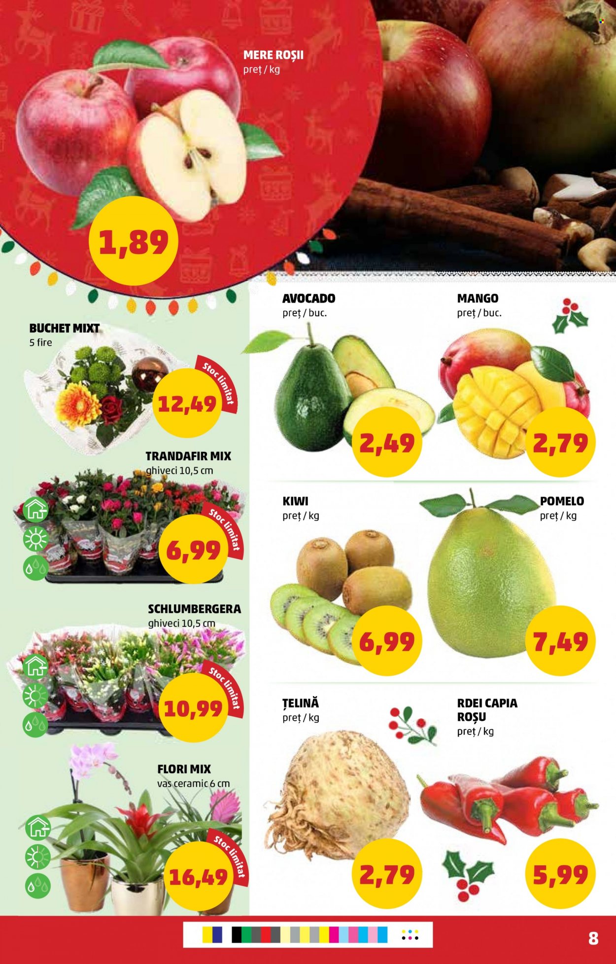 Catalog PENNY - 22.12.2021 - 28.12.2021. Pagina 8