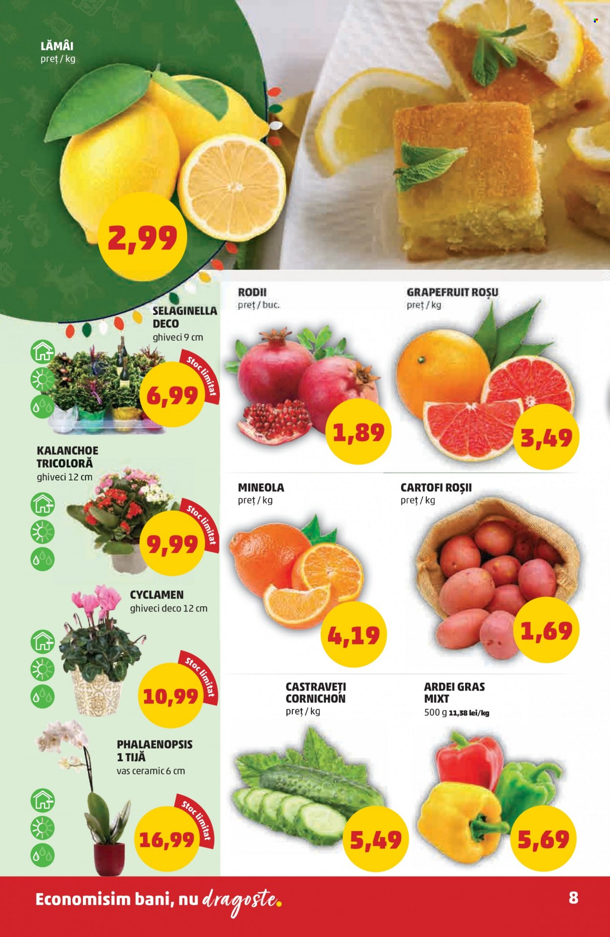 Catalog PENNY - 29.12.2021 - 04.01.2022. Pagina 8